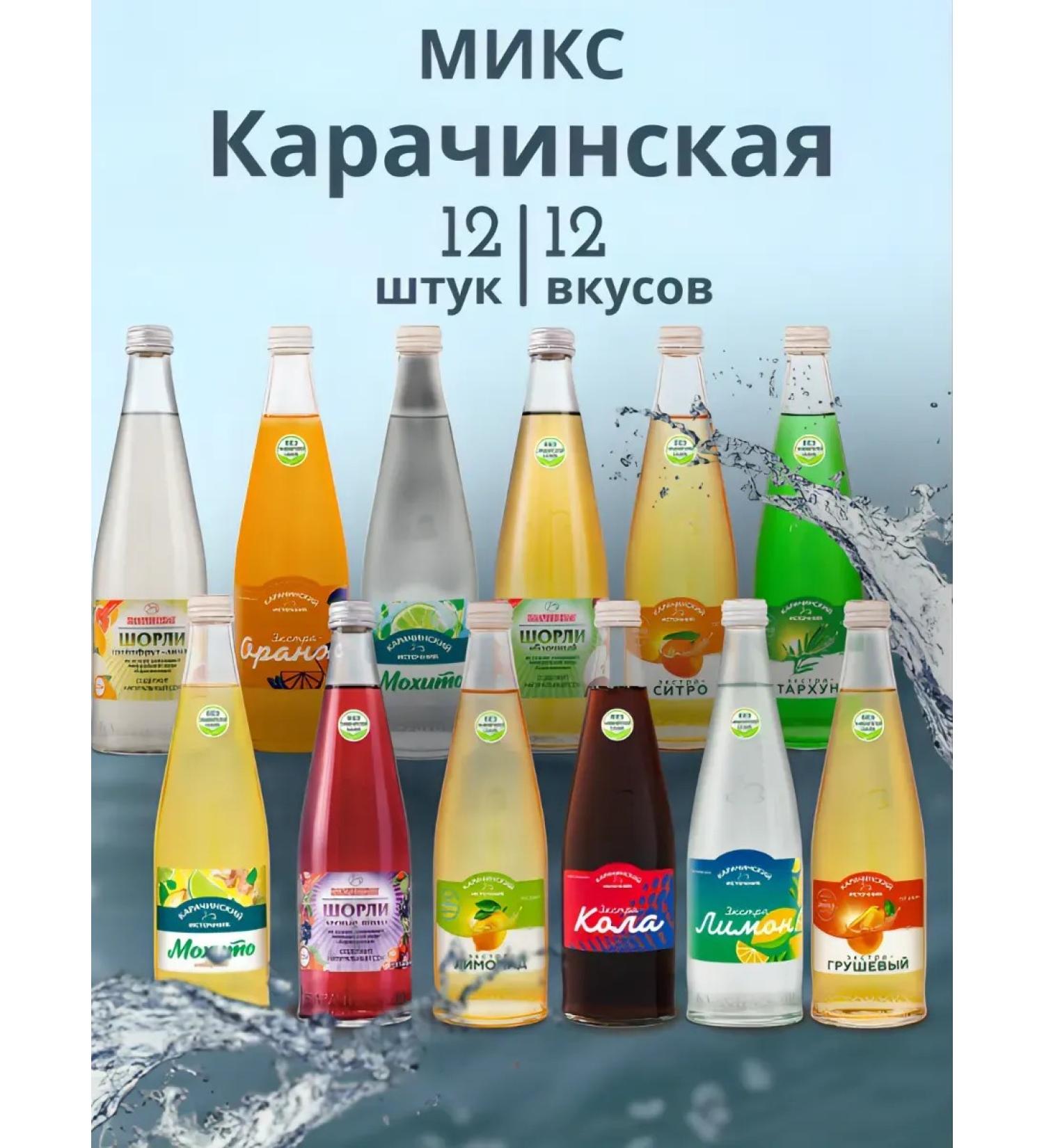 Karachinsky Source Karachinskaya mix 11 tastes 12 pcs 0.5 l glass