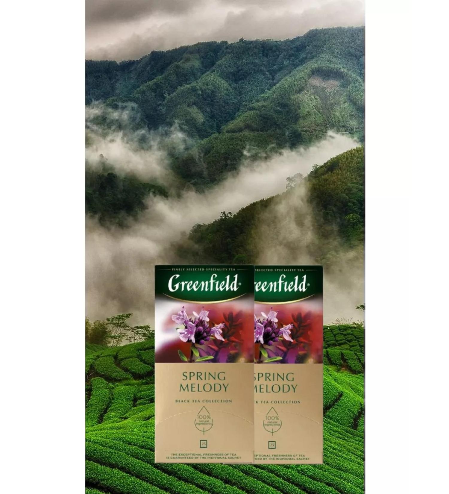 Greenfield Black Spring Melody in bags 2 packs 50pcs - Buy Online on GoSupps.com