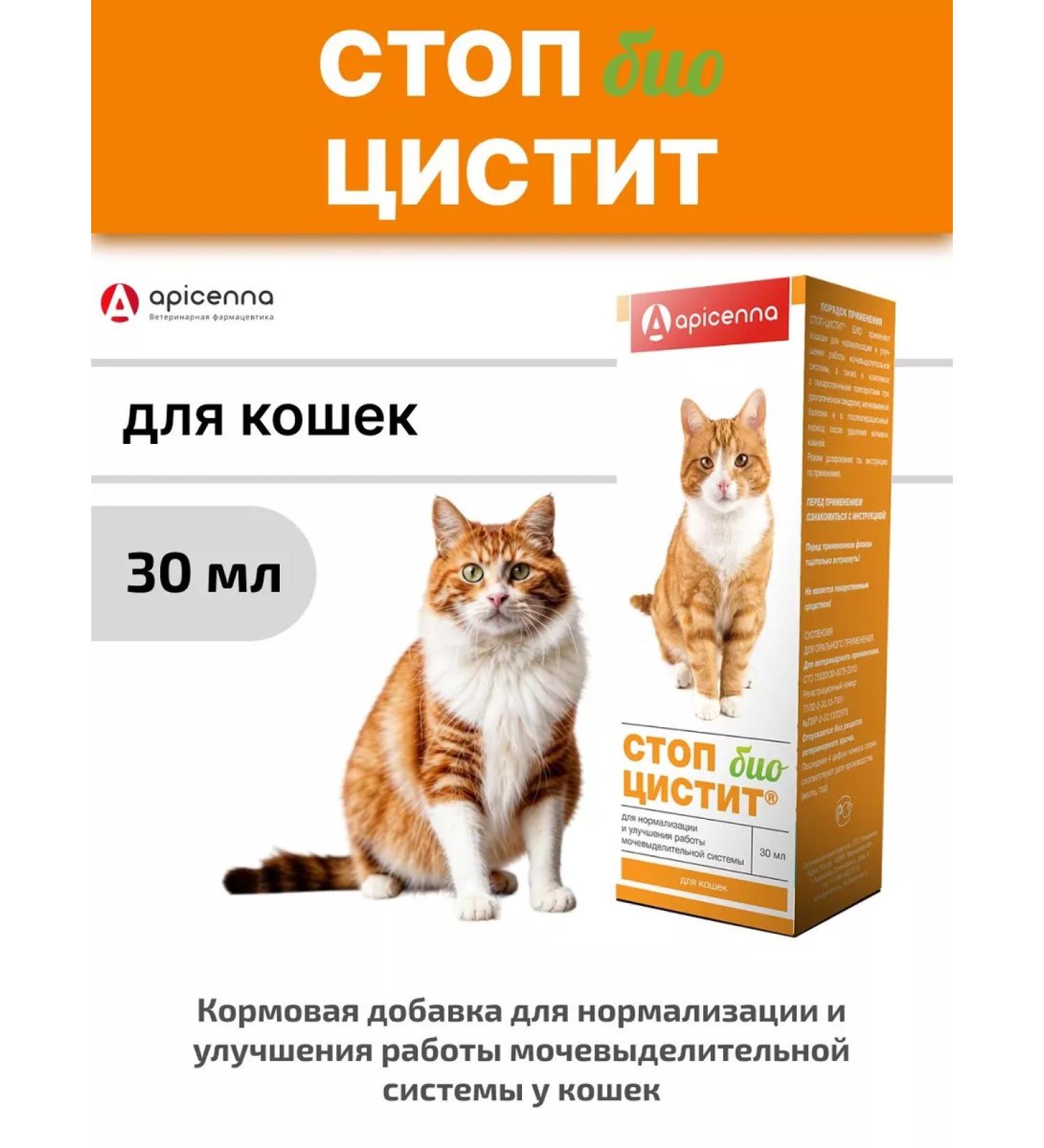 Apicenna Stop cystitis bio for cats - Buy Online on GoSupps.com