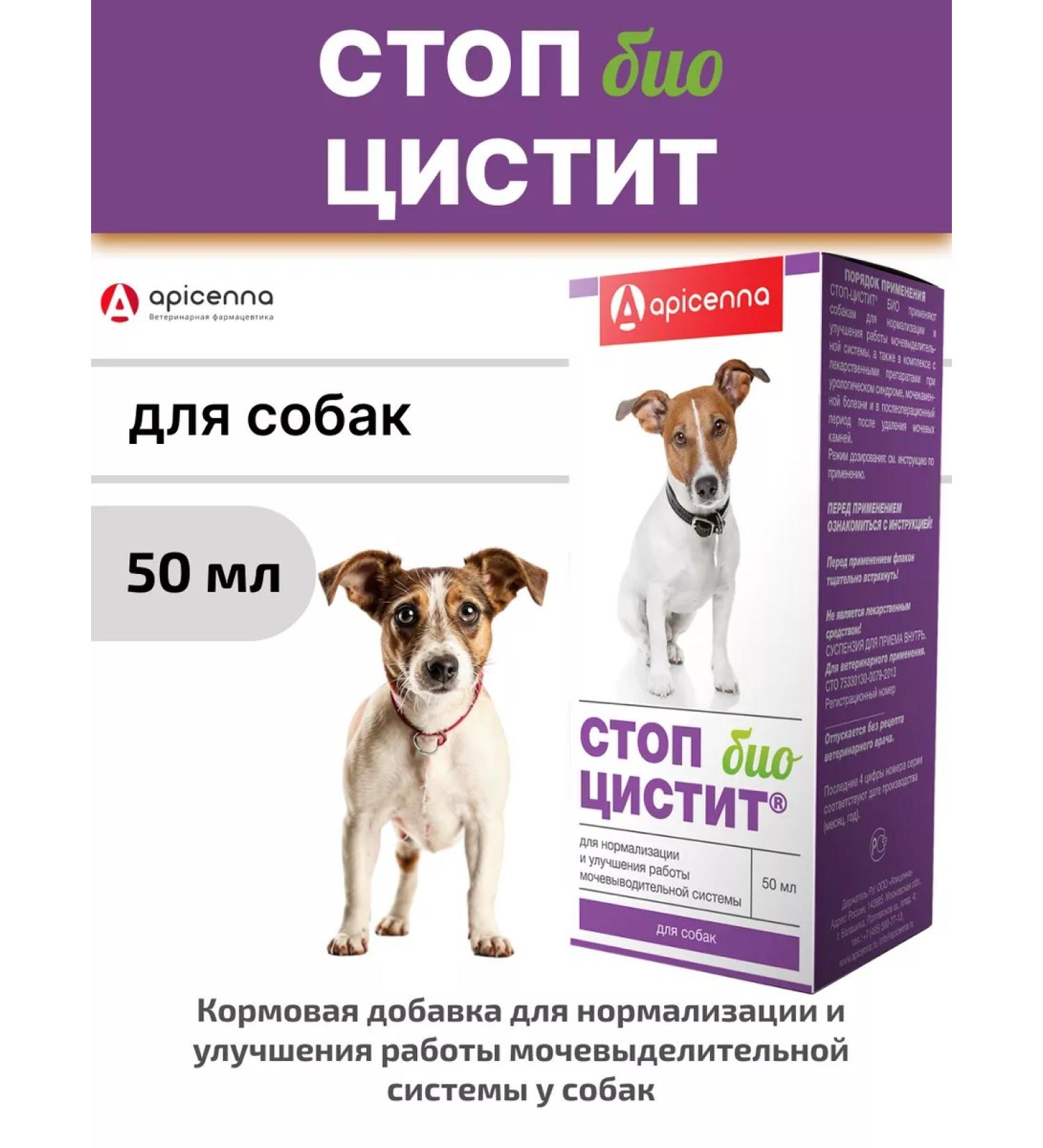 Apicenna Stop cystitis bio for dogs 50 ml - Buy Online on GoSupps.com