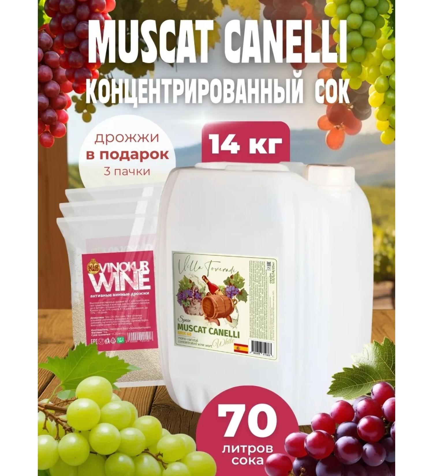 AZOV BREWERY Concentrated grape juice Muscat Canlli 14 kg - Buy Online on GoSupps.com