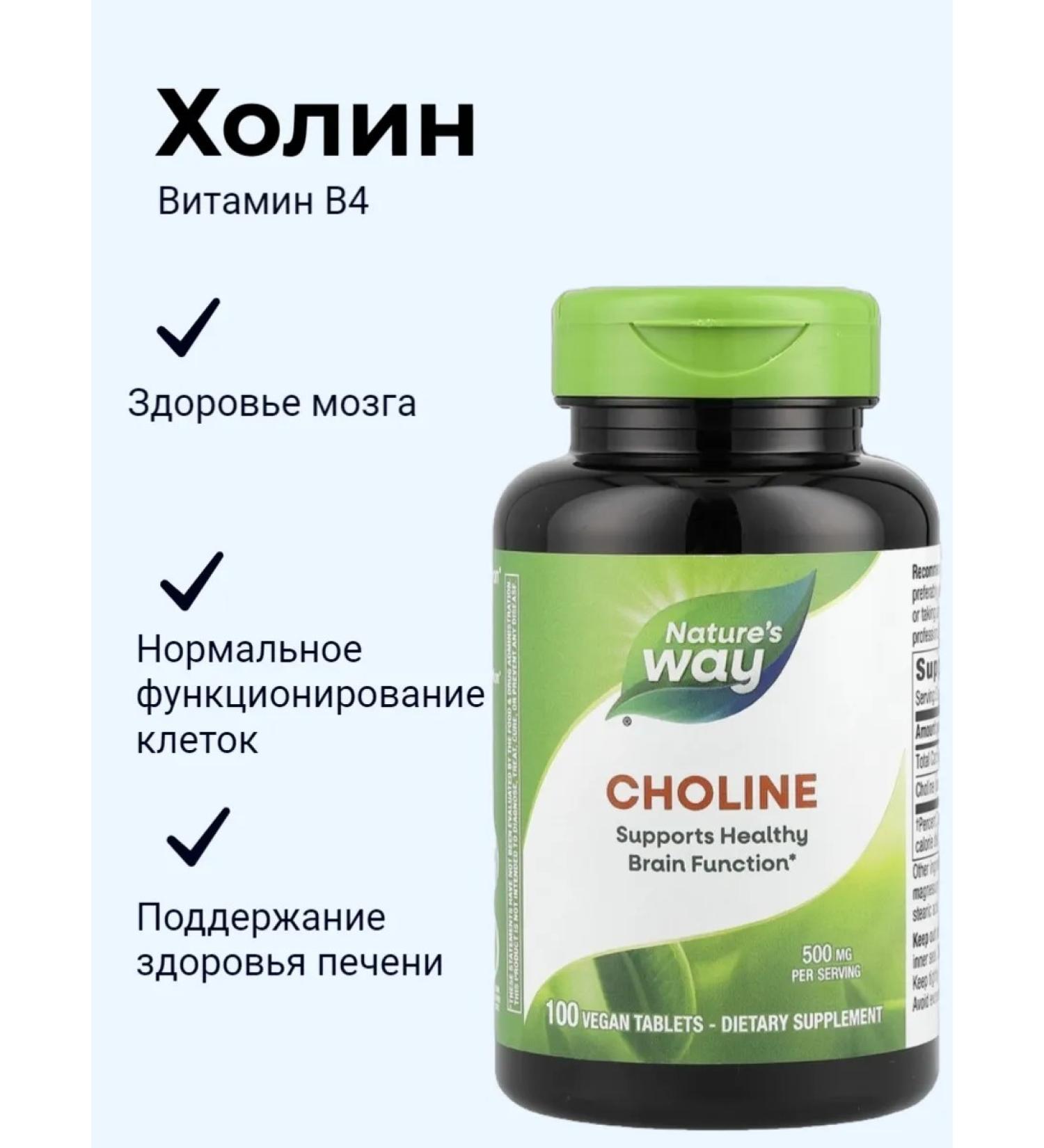 Nature's Way Choline choline 500 mg 100 tablets