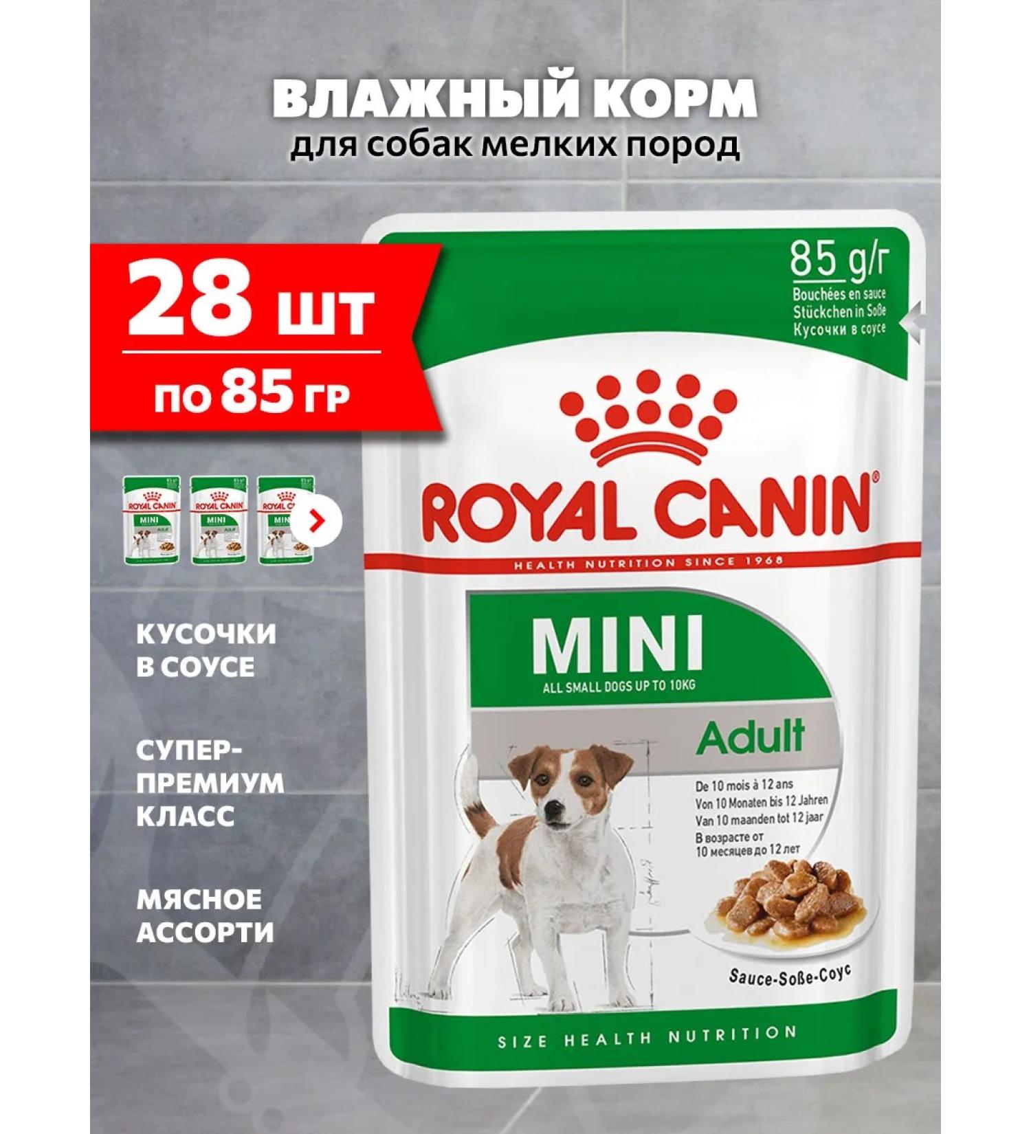 ROYAL CANIN Dog food is wet for small rocks sauce 85 g 28 pcs - Buy Online on GoSupps.com