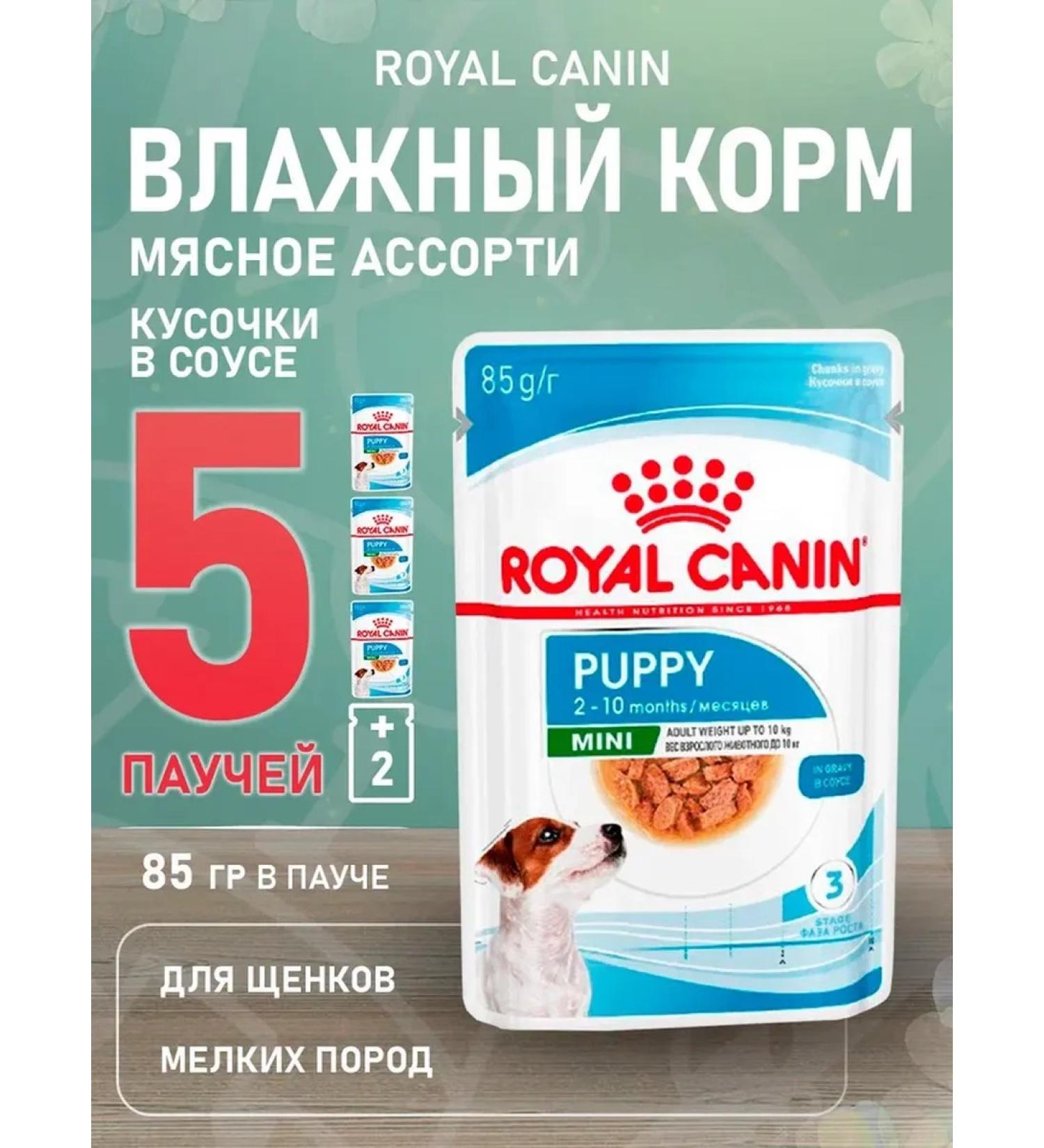ROYAL CANIN Wet feed mini puppy for small puppies sauce 85 g 5 pcs - Buy Online on GoSupps.com