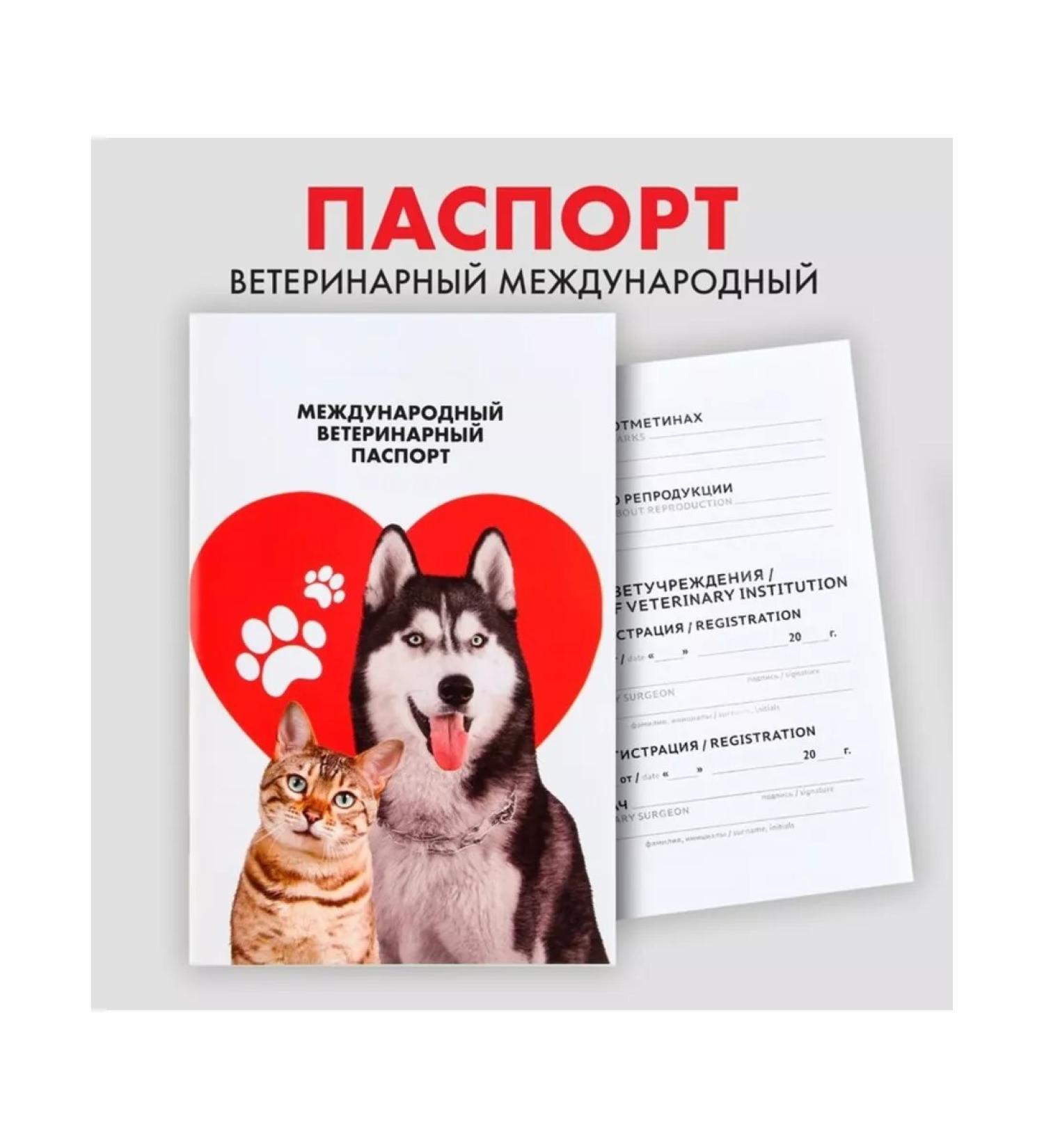 Fluffy happiness International veterinary passport 2 pcs - Buy Online on GoSupps.com
