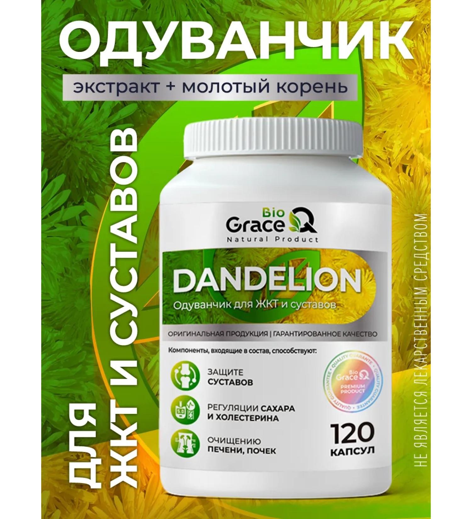GraceBioQ Dandelion root in capsules - Buy Online on GoSupps.com