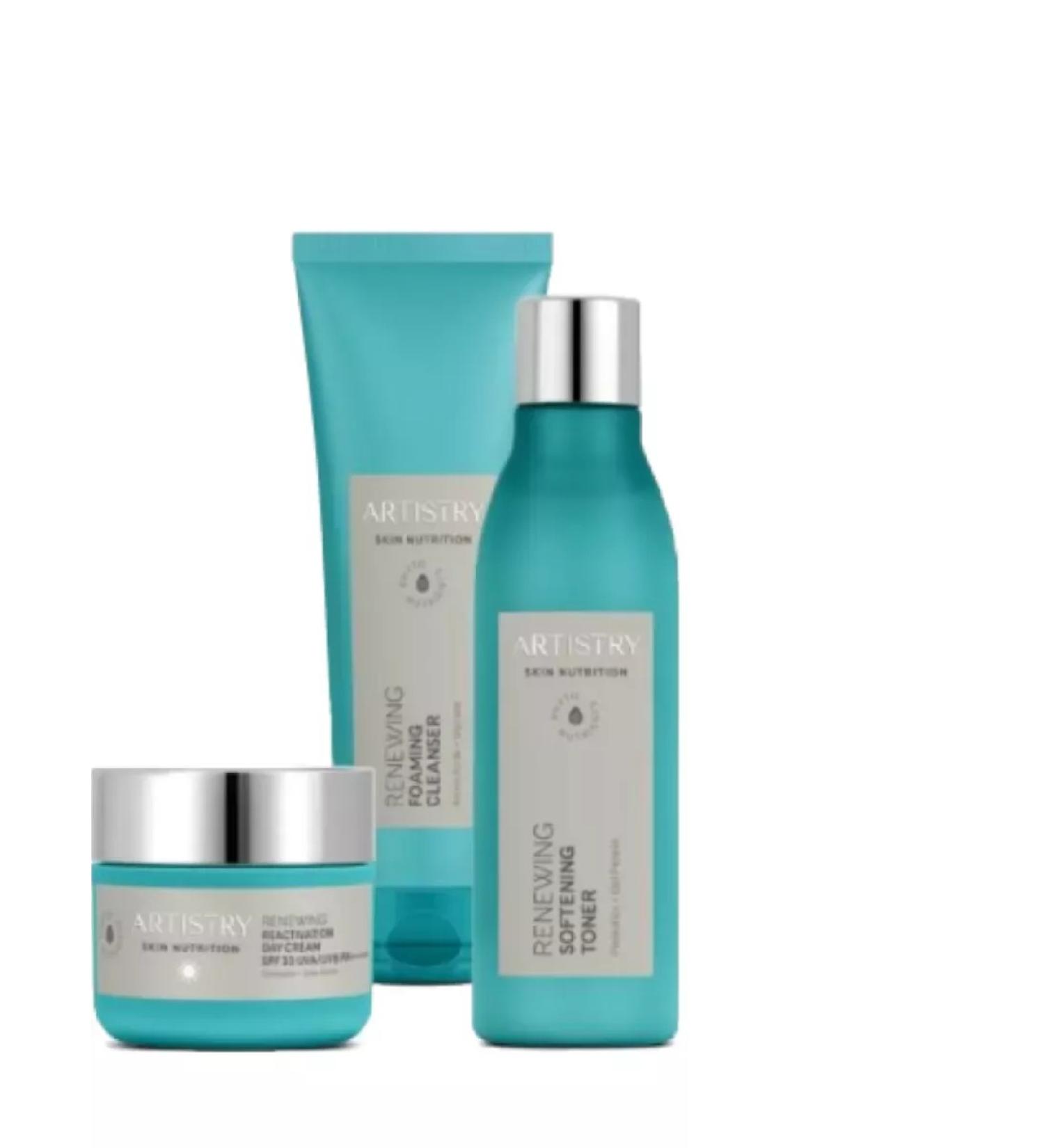 Artistry set update and recovery of daytime care