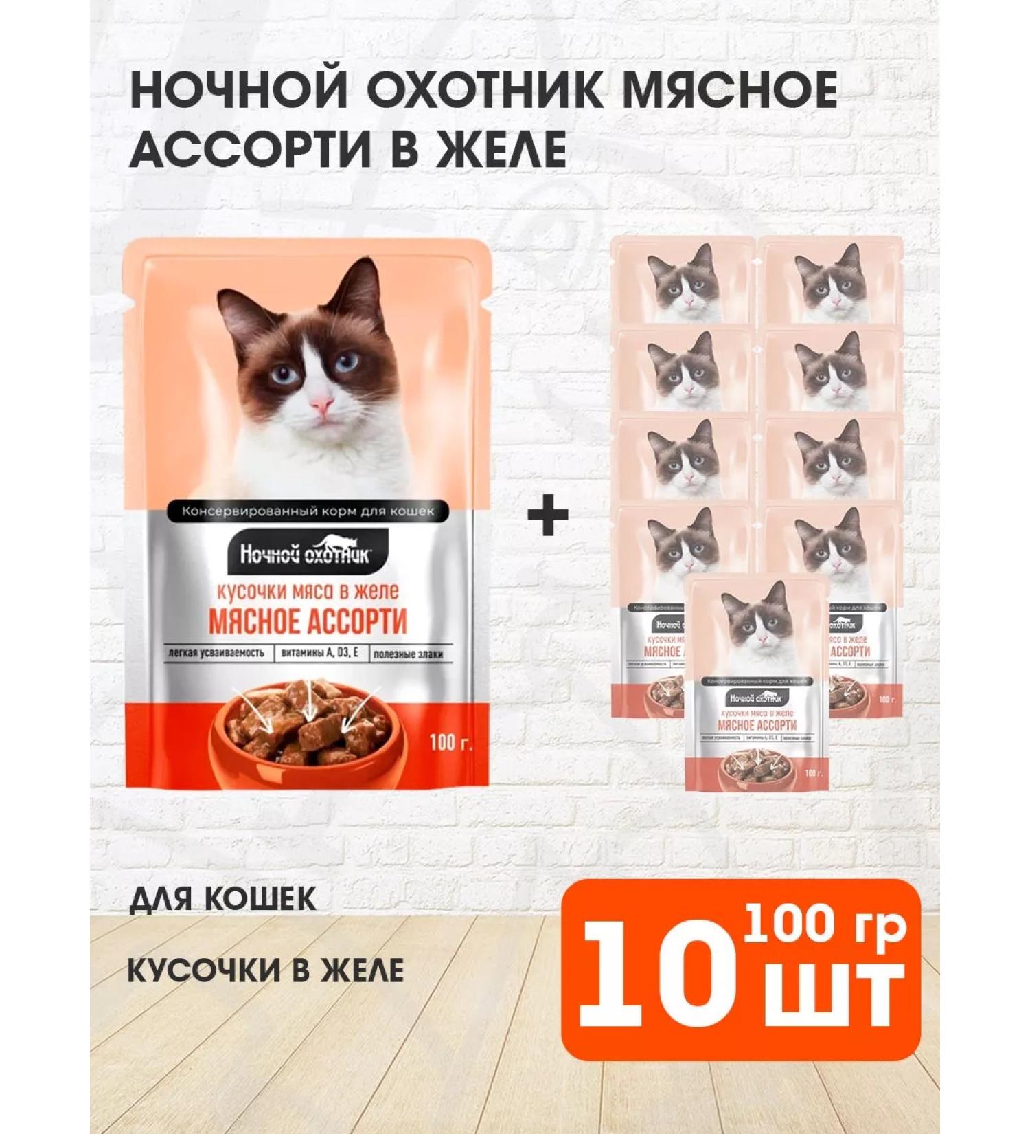 Night Hunter Wet feed for cats meat assorted in jelly 100 g 10 pcs - Buy Online on GoSupps.com