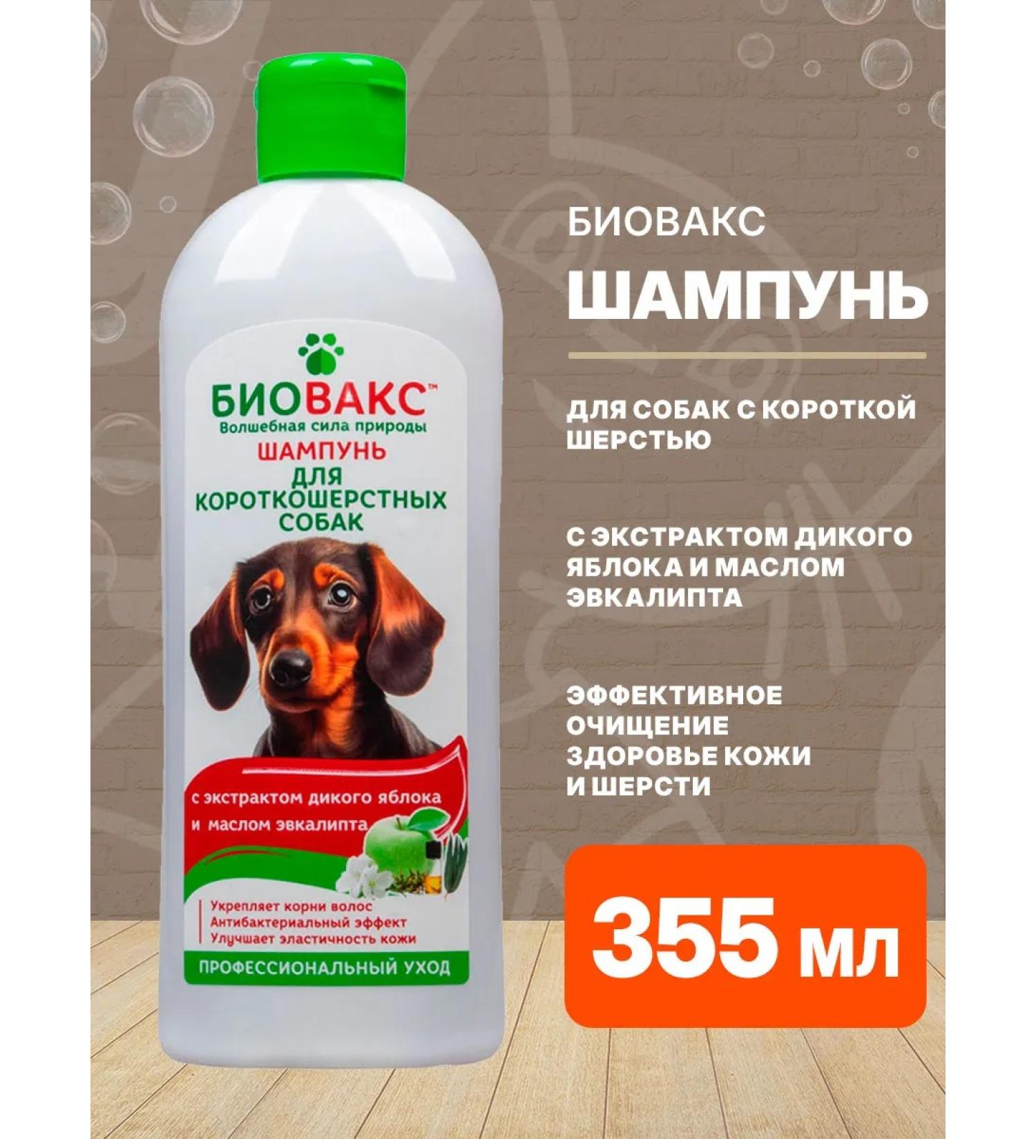 Biovax Shampoo for dogs of short -haired apple eucalyptus 355 ml