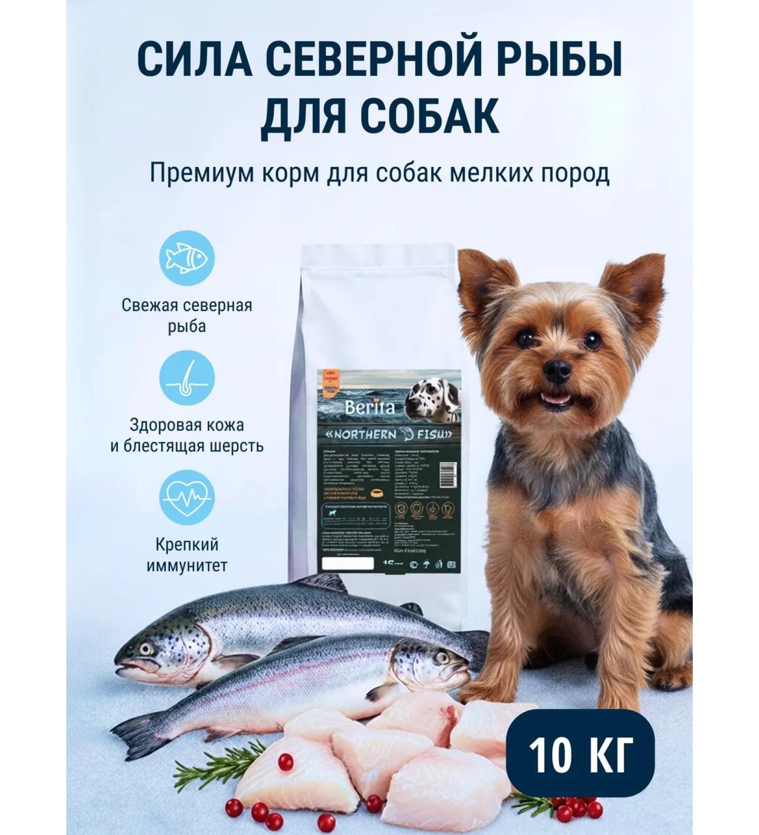 BERITA Dry food for small breeds with fish 10 kg