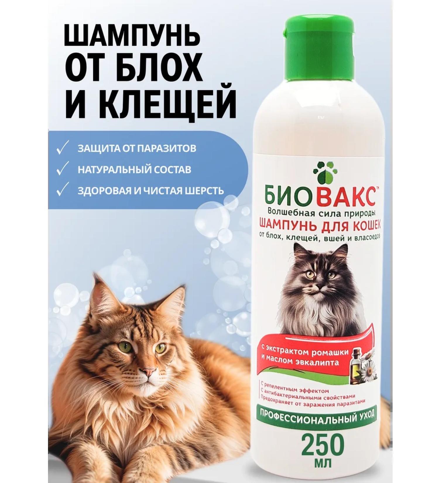Biovax Bio shampoo from fleas and ticks for cats 250 ml - Buy Online on GoSupps.com