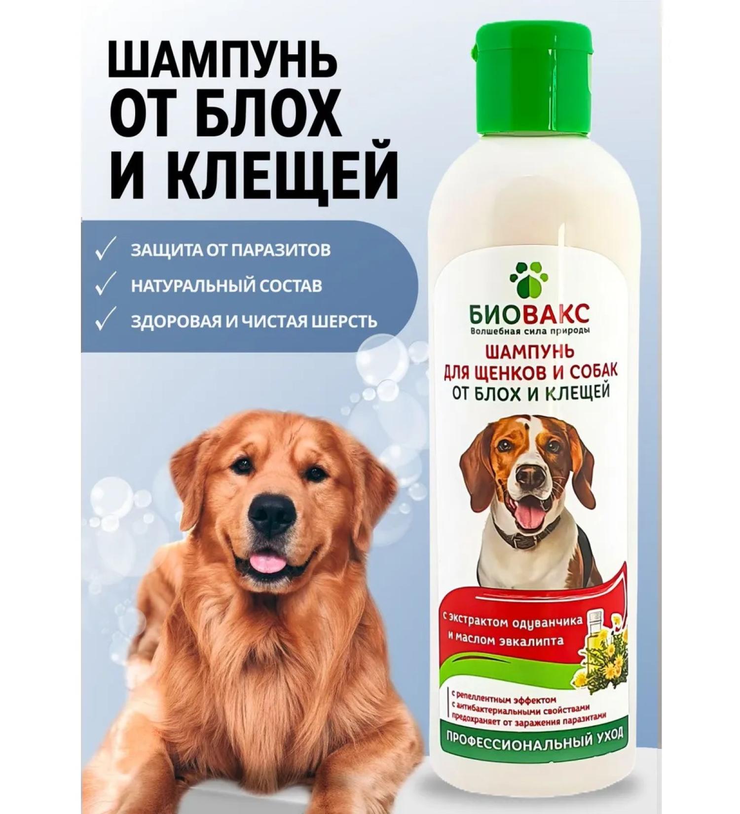 Biovax Bio shampoo from fleas and dogs for dogs 250 ml - Buy Online on GoSupps.com