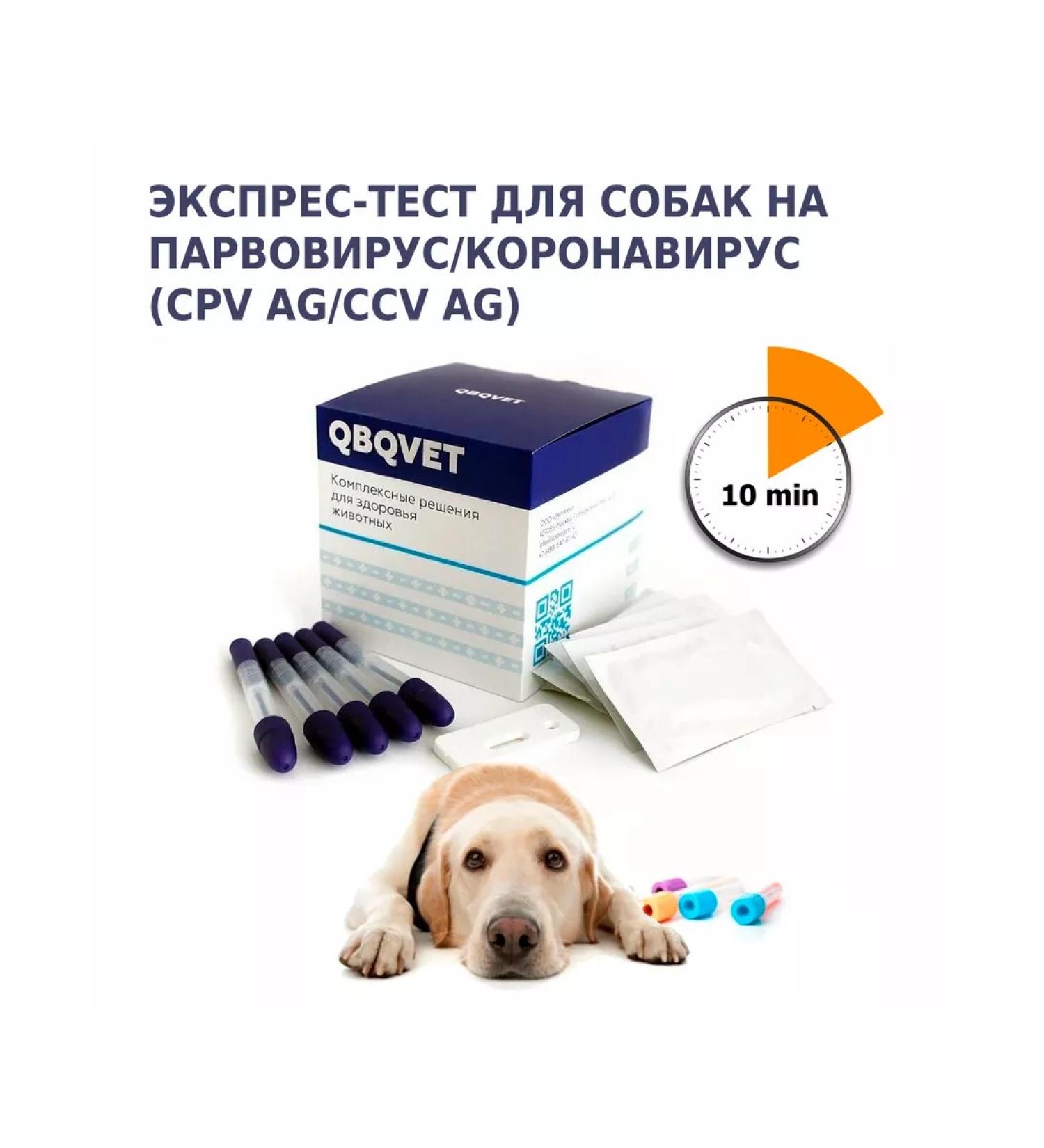 QBQVet Dog Parvovirus and Coronavirus Test (CPV AG CCV AG) - Buy Online on GoSupps.com