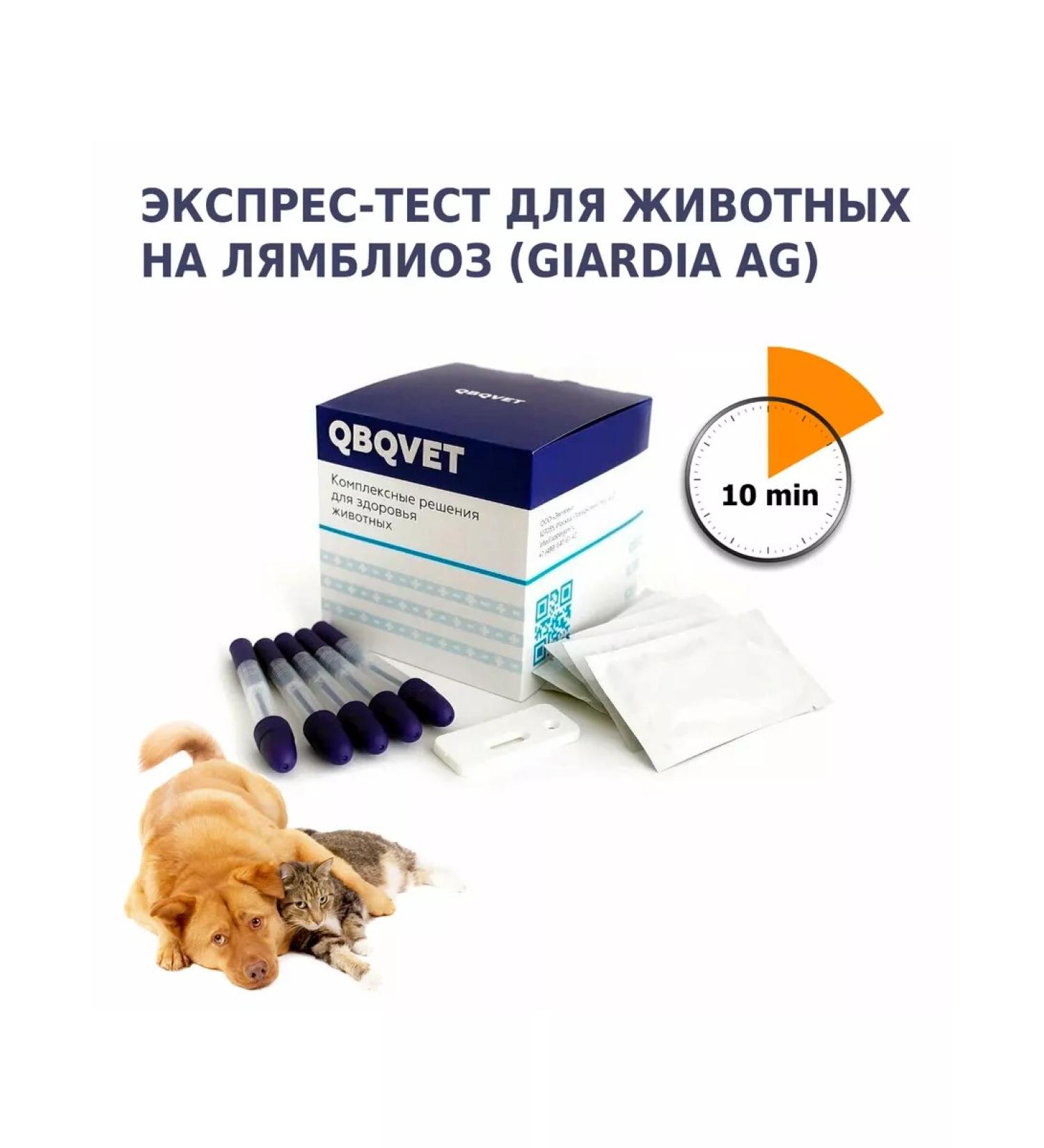 QBQVet Express test for cats dogs for lambliosis (Giardia AG) - Buy Online on GoSupps.com
