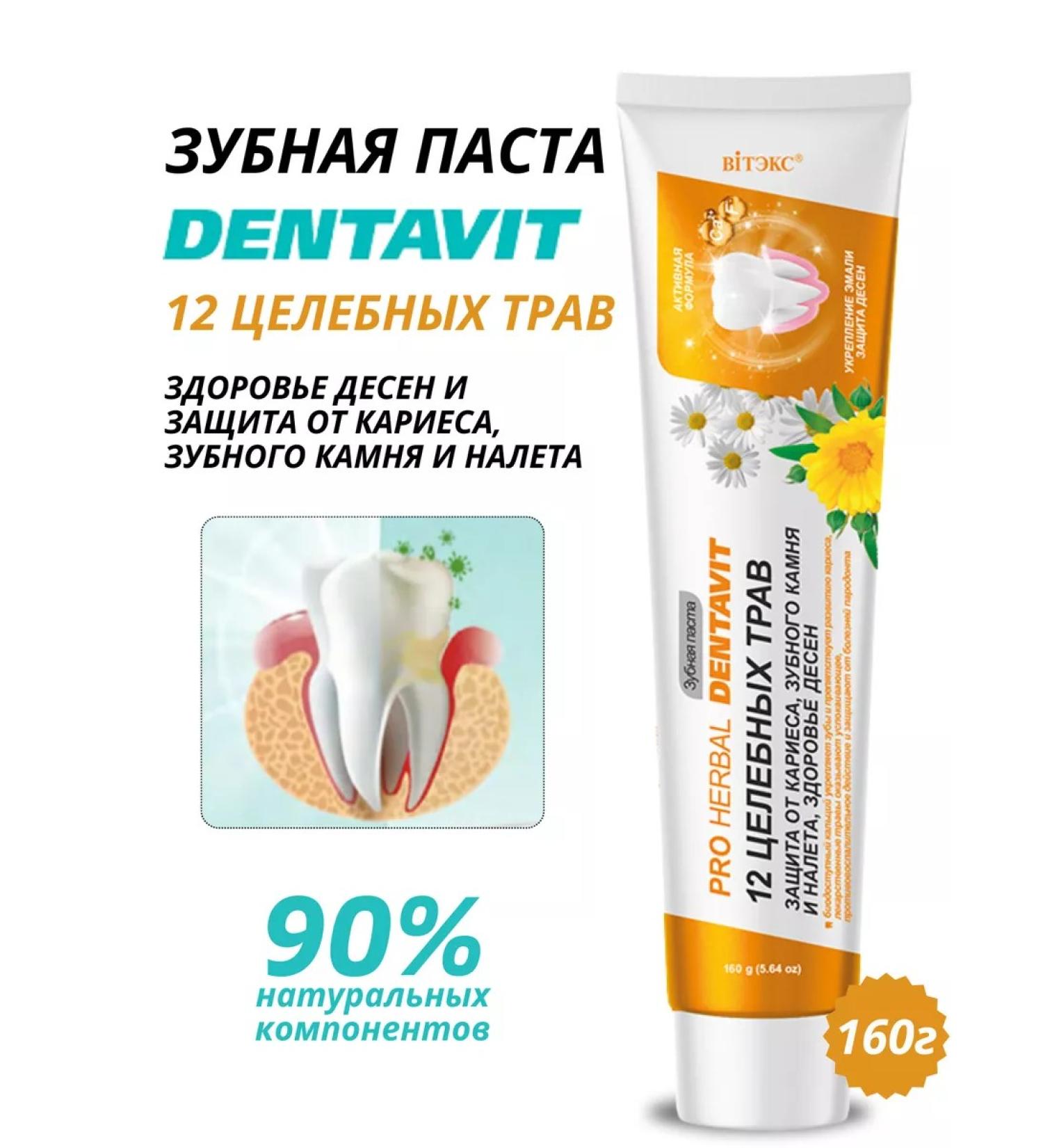 Vitex Dentavit toothpaste for health and gum protection - Buy Online on GoSupps.com