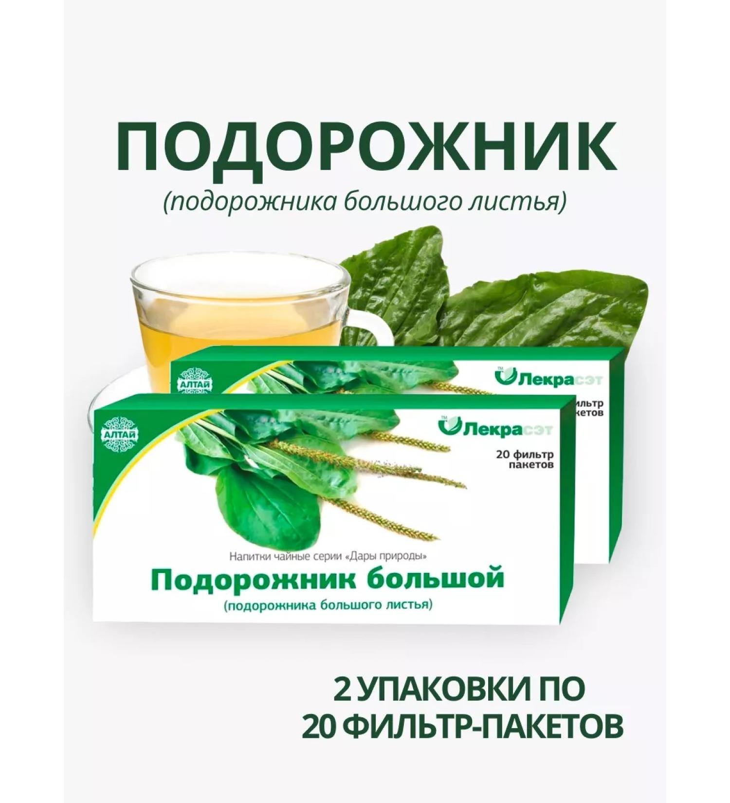 Lecraset Plantain large leaves 2 pcs. Healing herbs phytosbor