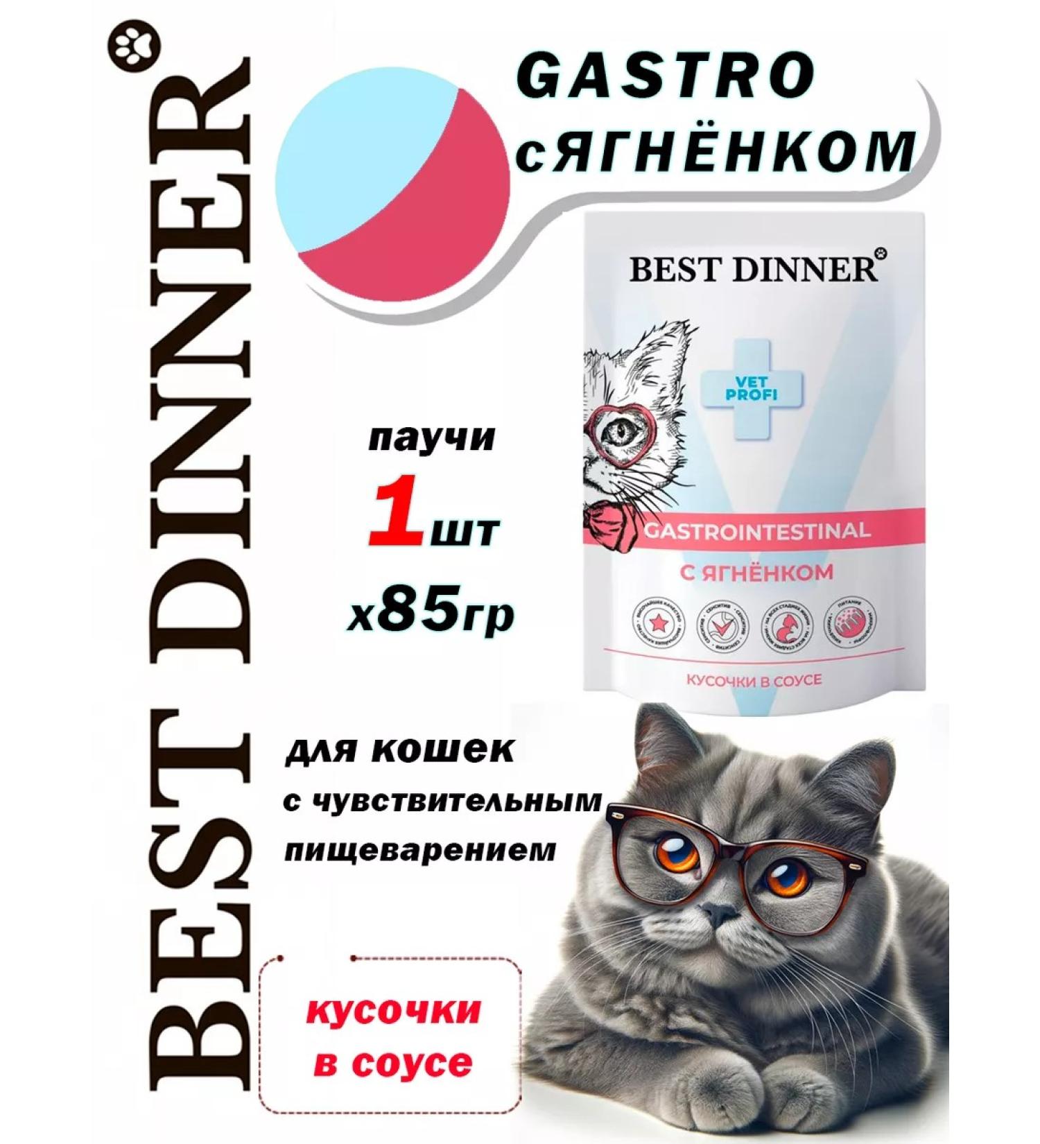 Best Dinner Spiders for gastro cats pieces in the lamb sauce are wet