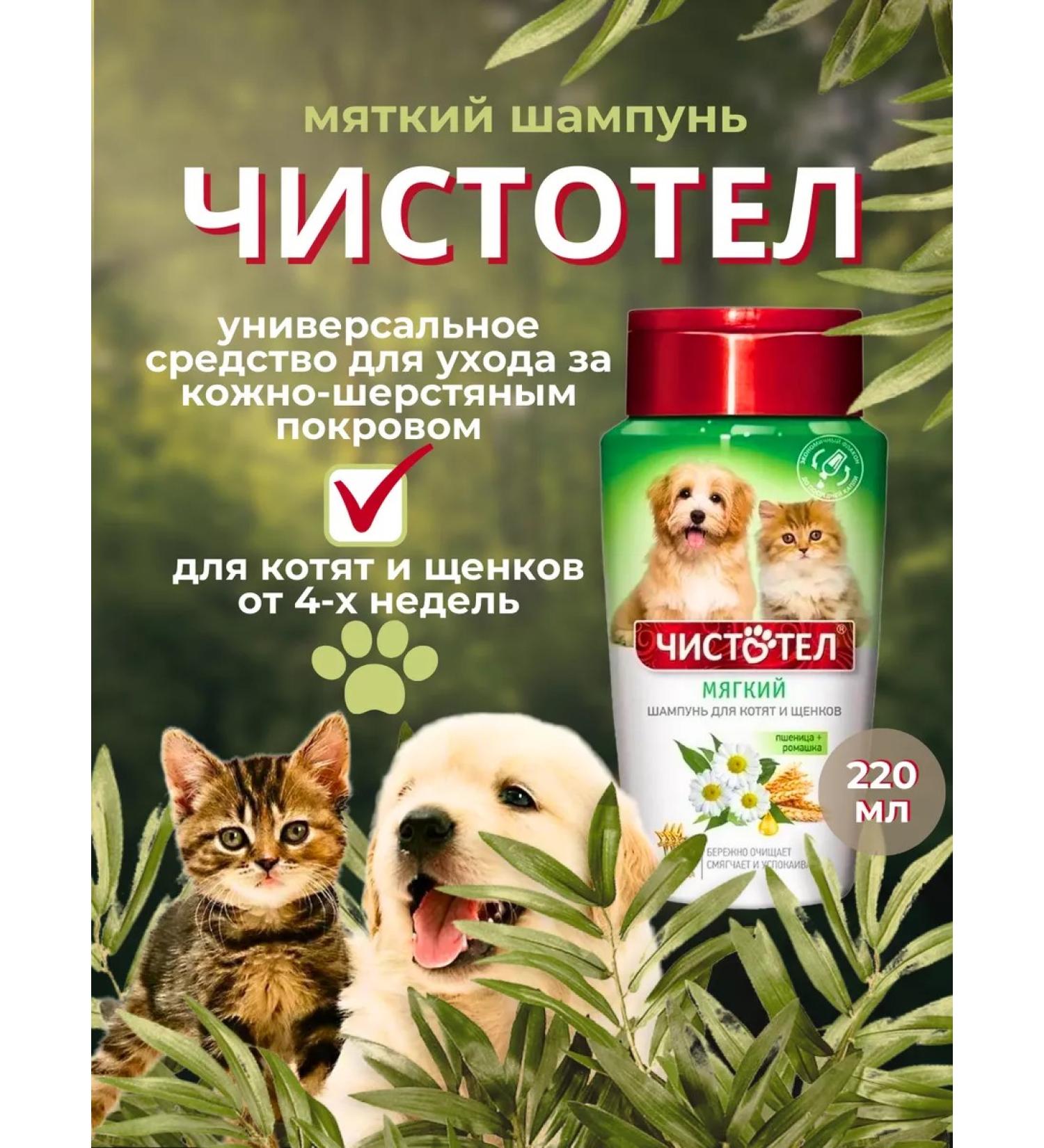 In the animal world 21 Soft shampoo for kittens and puppies 220 ml