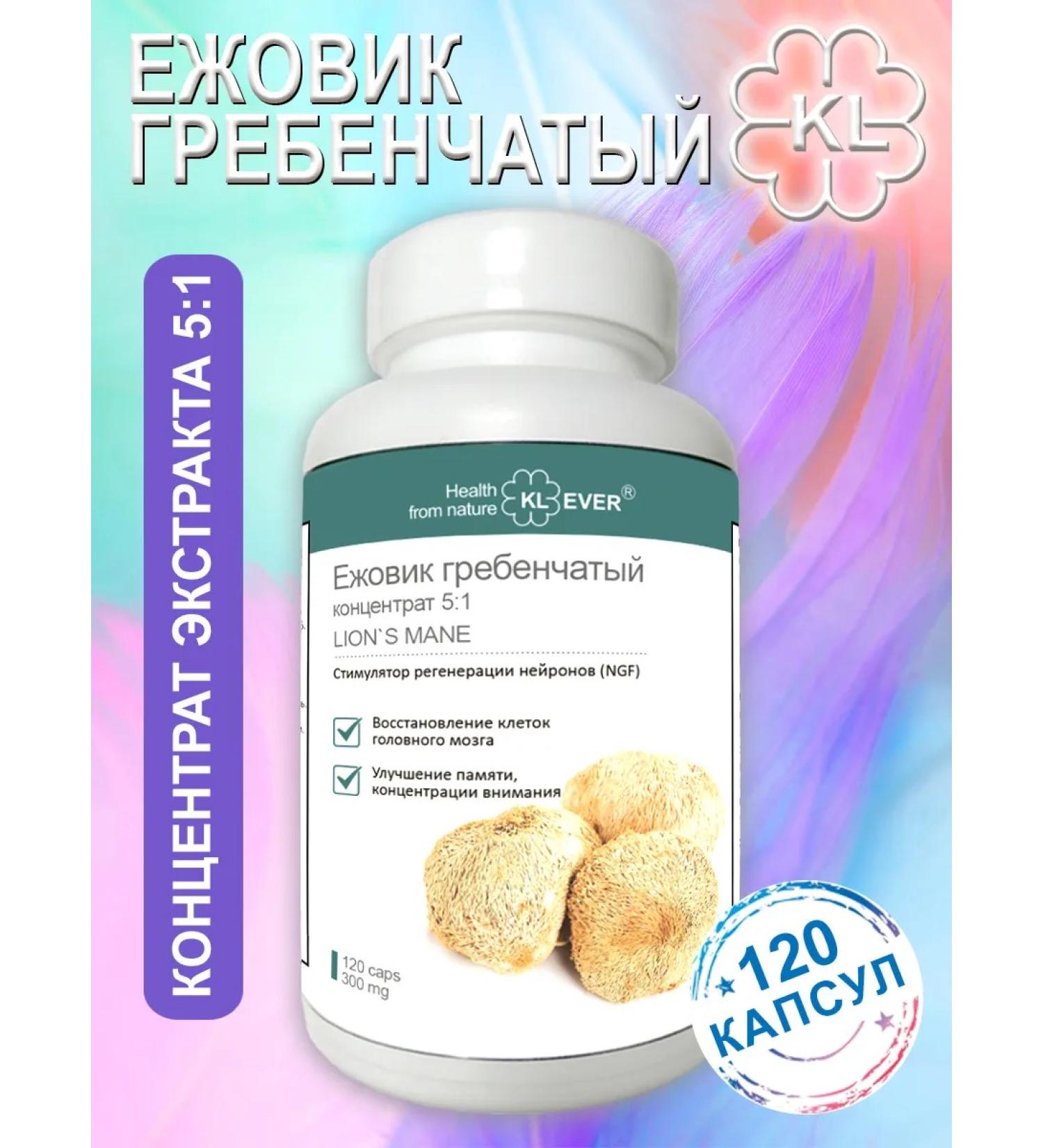 KL-EVER Grebenic hedgehog - 120 capsules. Concentrate 5 to 1 - Buy Online on GoSupps.com