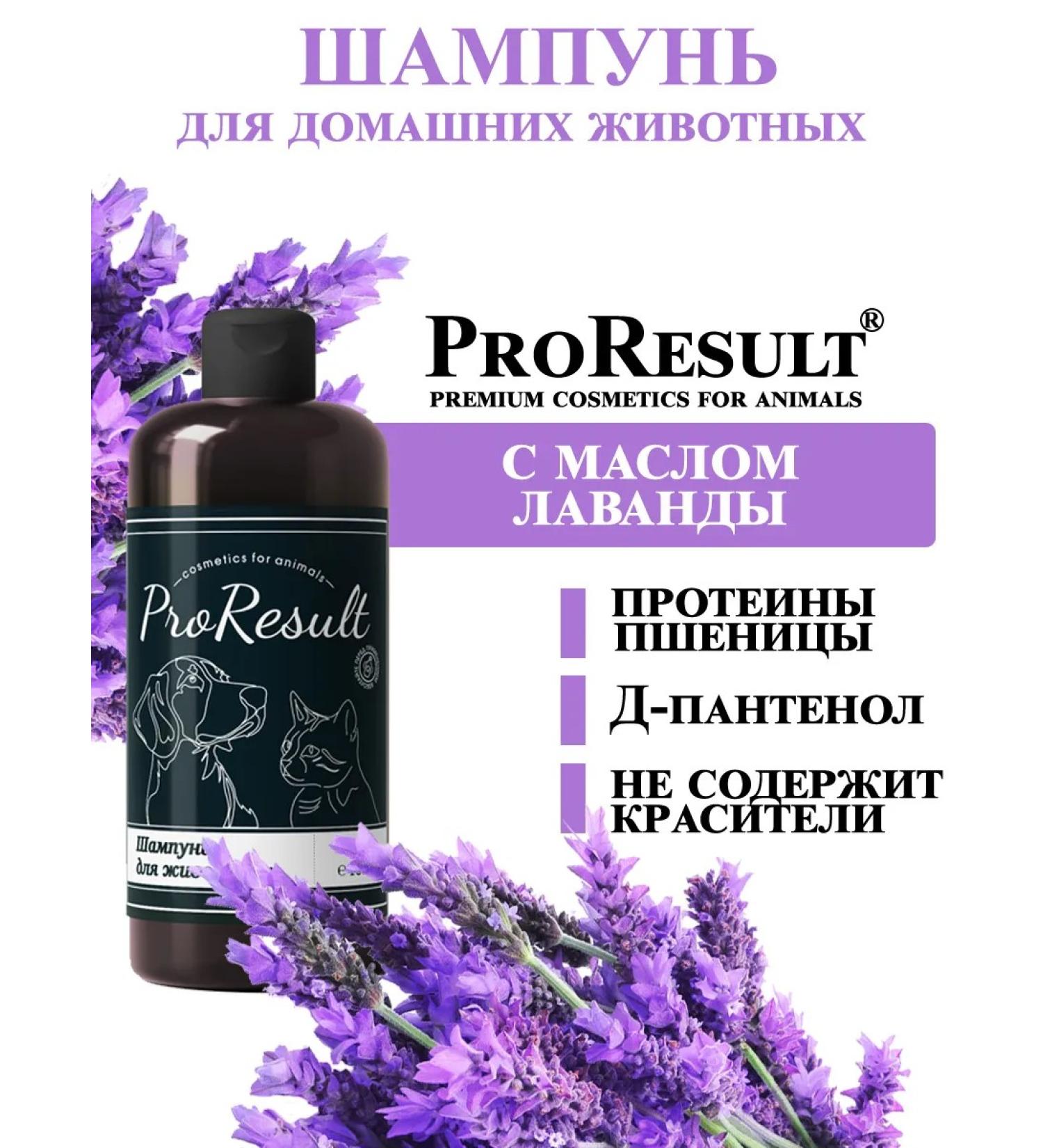 ProResult Shampoo for dogs and cats with lavender butter