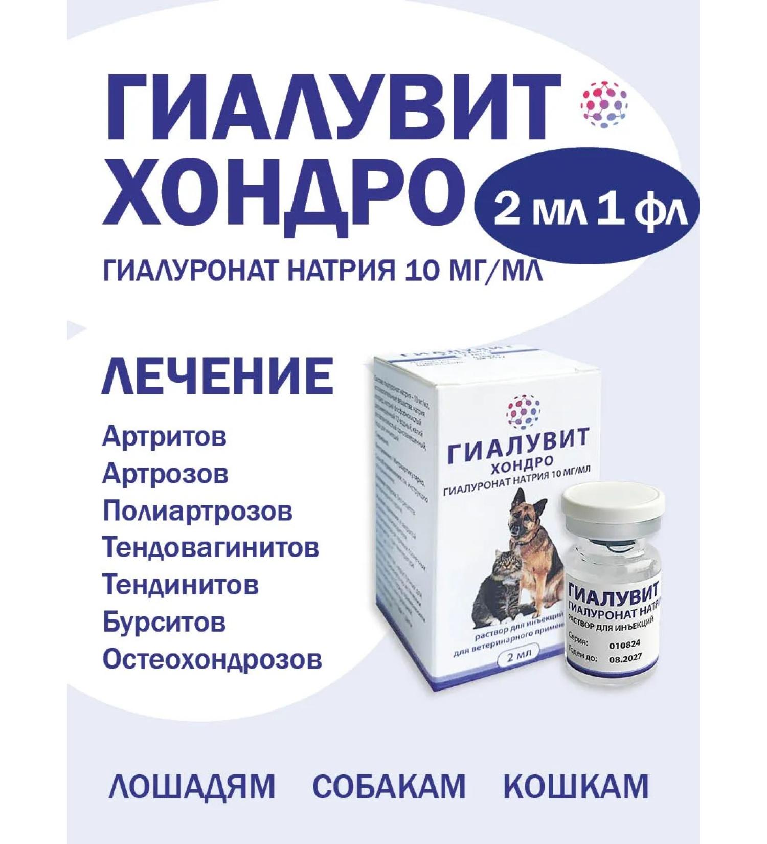 Scientific and Production Complex SPHERE Hyaluvit Chondro 1 FL 2 ml for joints for injection - Buy Online on GoSupps.com