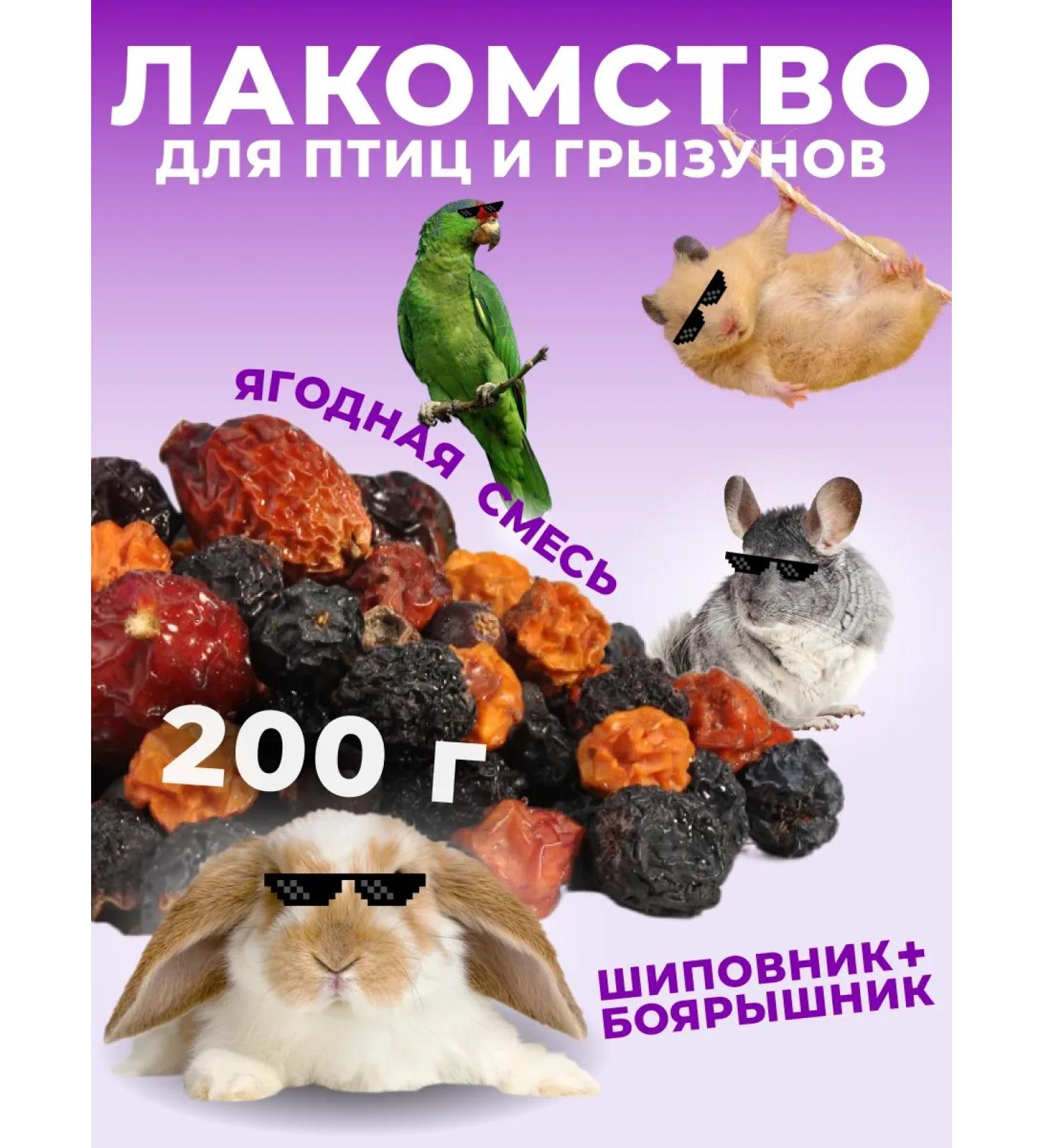 A delicacy of Kuban Berry mixture treat - Buy Online on GoSupps.com