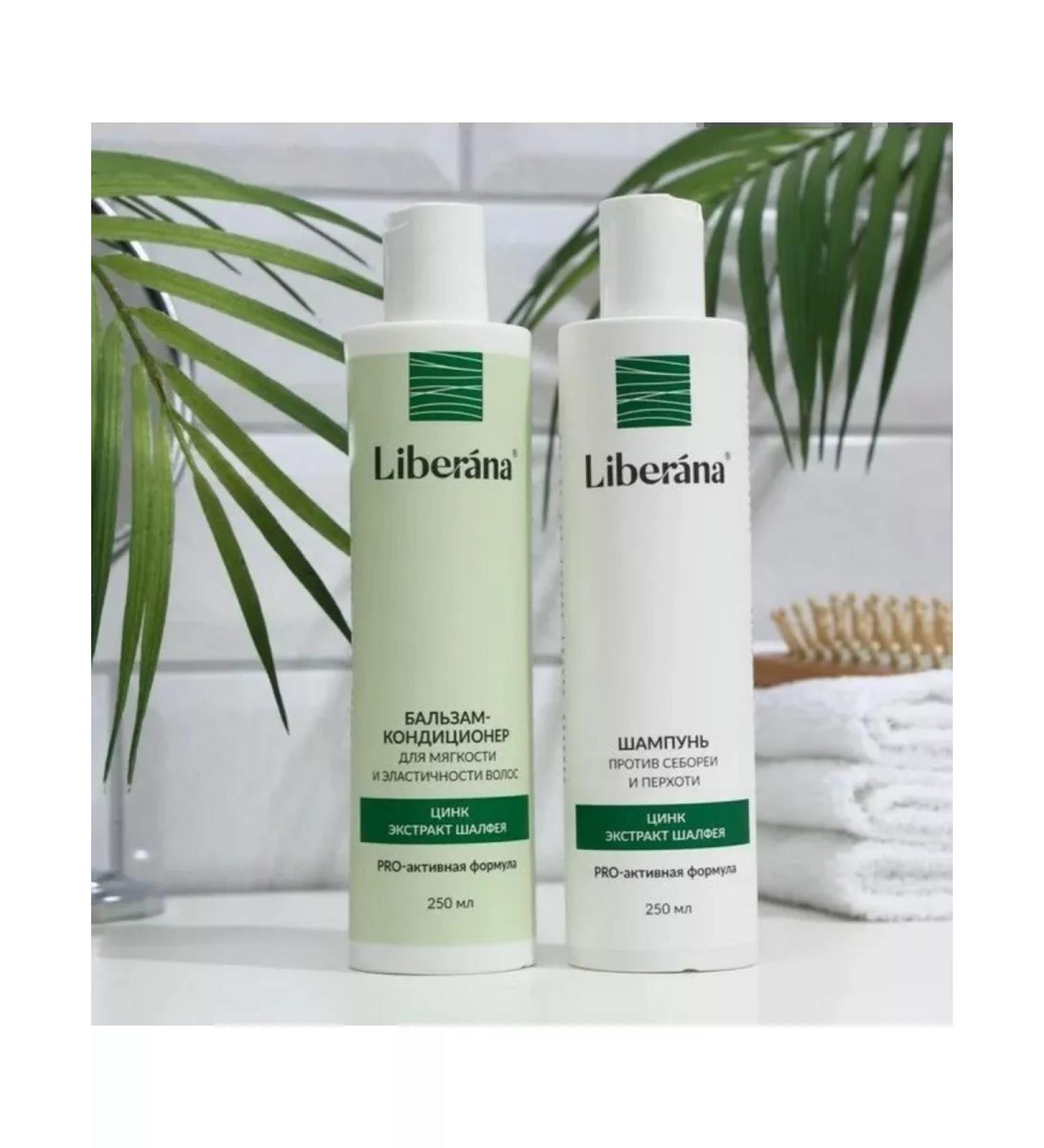 ALEX Shampoo and balm-focus against dandruff and seborrhea