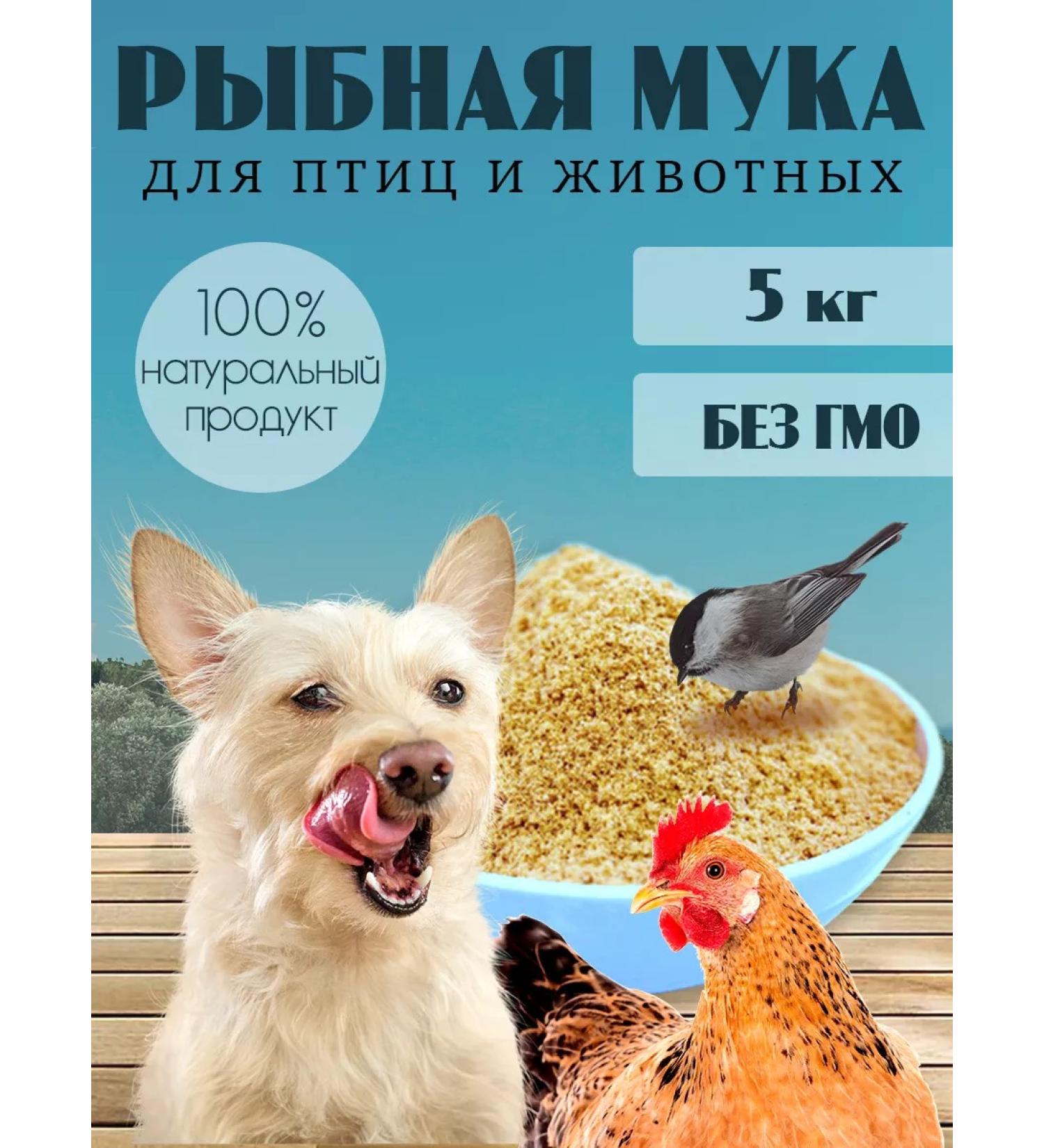 KORMIS Fish flour for dogs of cats and animals 5kg