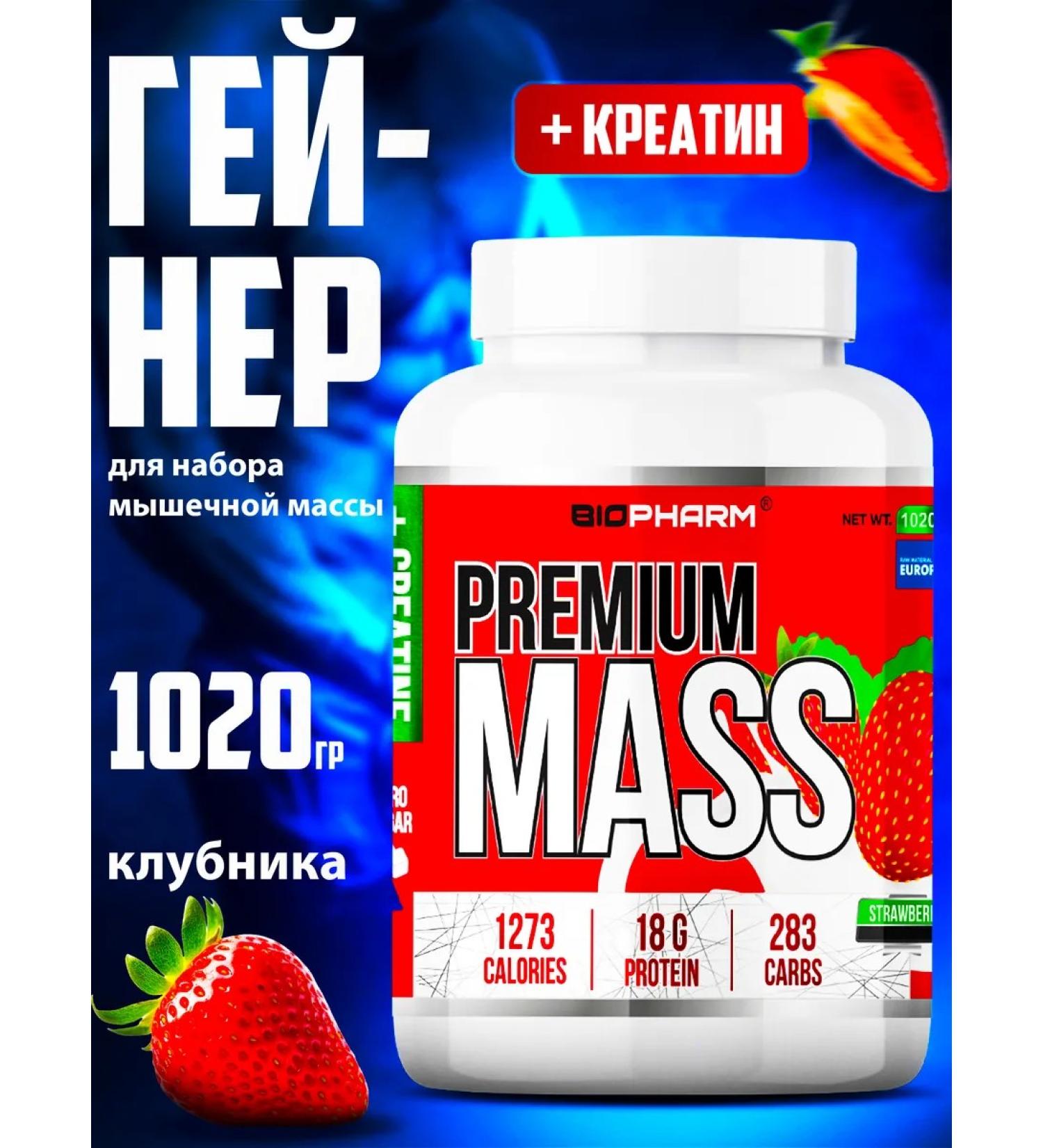 BioPharm Premium Mass Heiner Strawberry 1kg - Buy Online on GoSupps.com