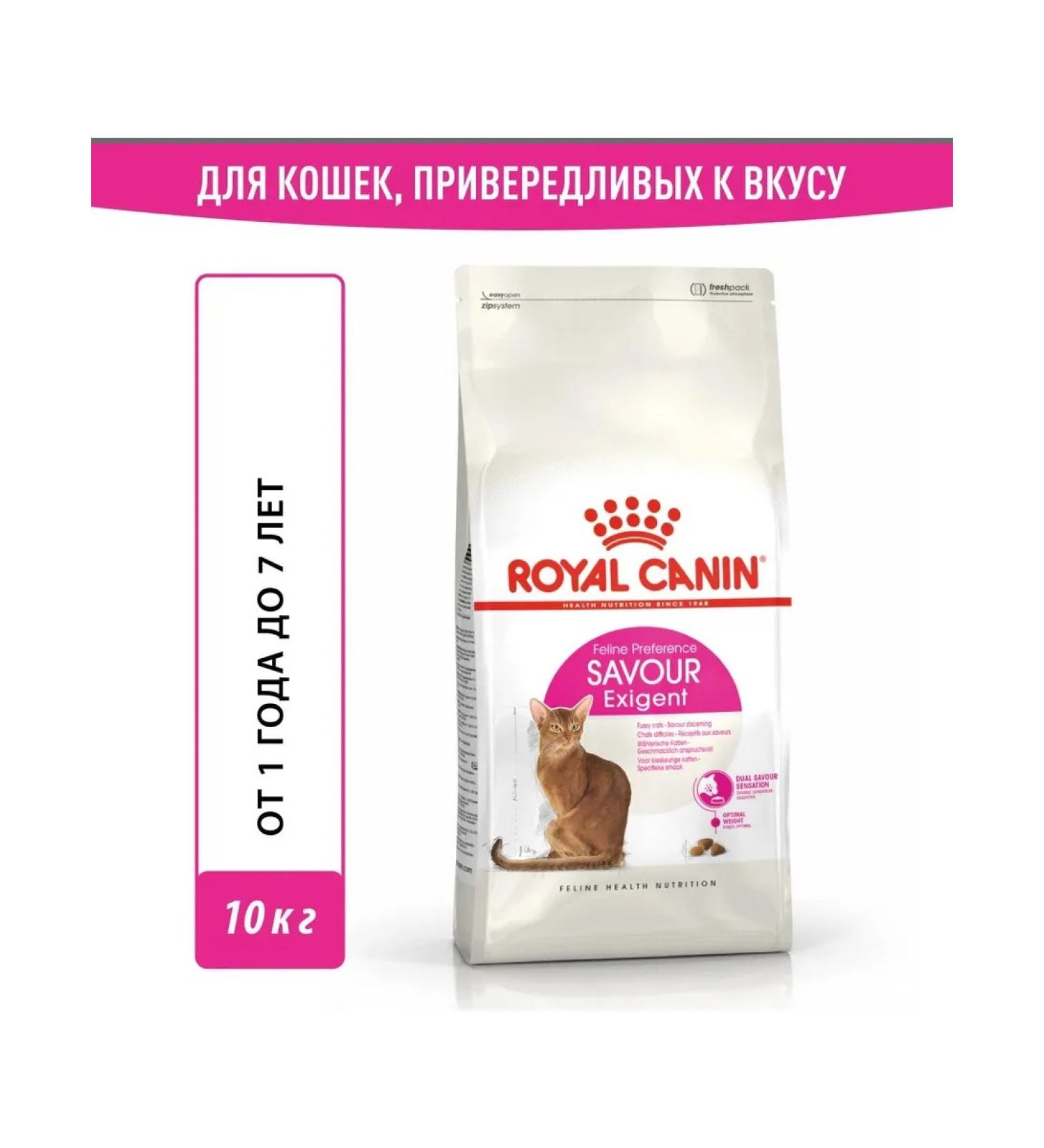 ROYAL CANIN Feeding cat food from 1 year 10 kg - Buy Online on GoSupps.com