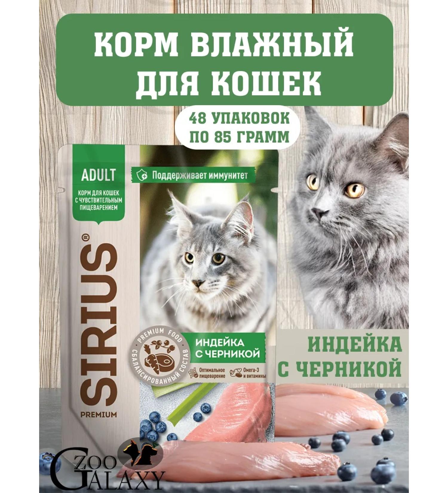 SIRIUS Wet food for cats turkey and blueberries 2 boxes 24x85 g