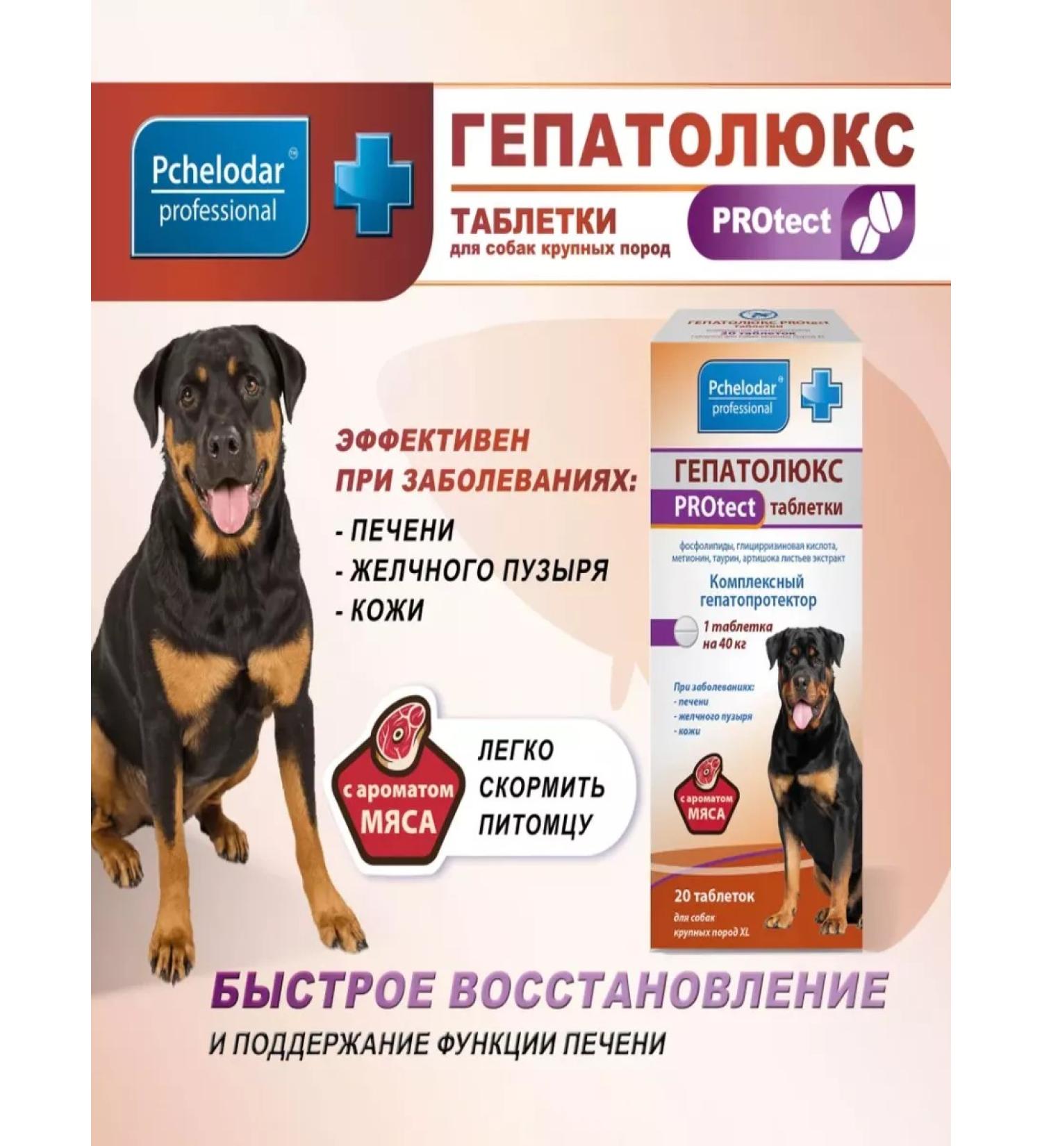 Beekeeper Hepatolux Protect tablets for dogs of large rocks XL