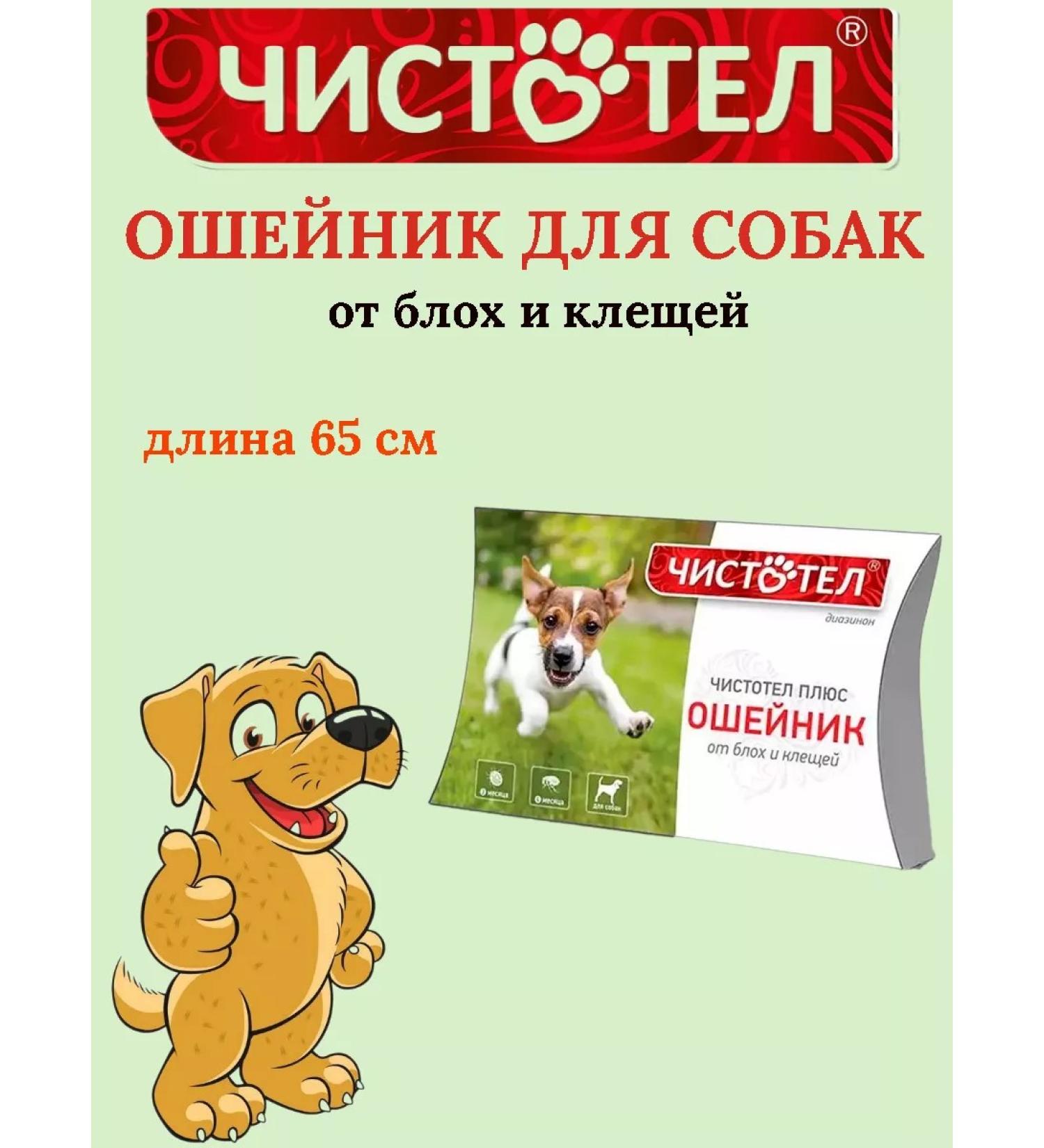 Celandine A collar from fleas and ticks for dogs 65 cm