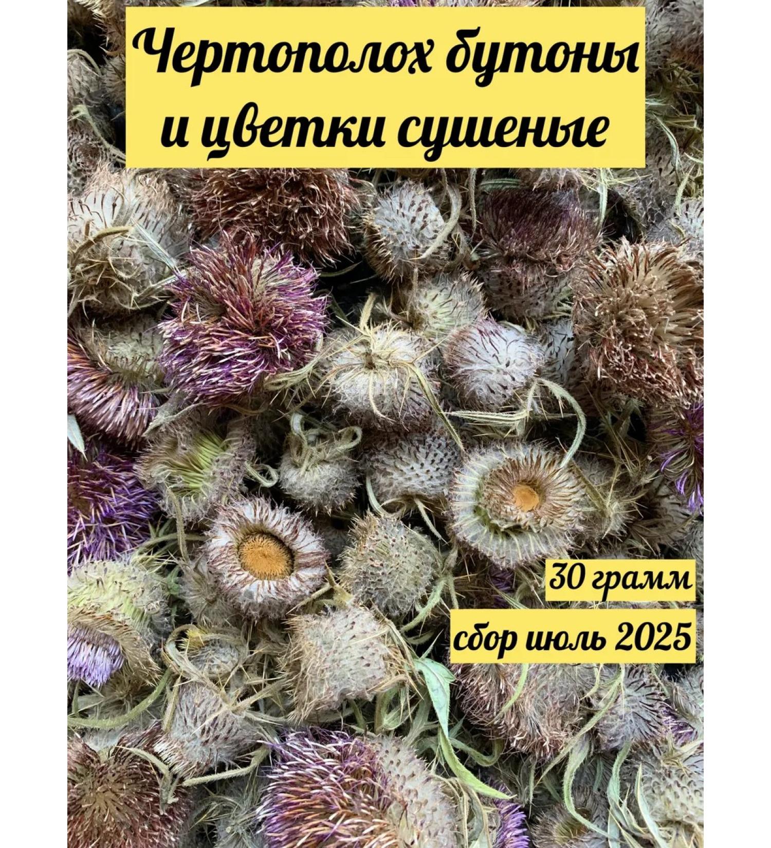 Tula Herbalist Thistle grass (buds and flowers) collection July 2025