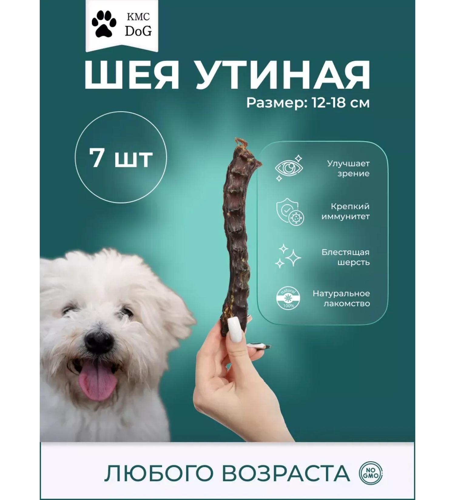 Dried duck neck a treat for dogs 7 pcs - Buy Online on GoSupps.com