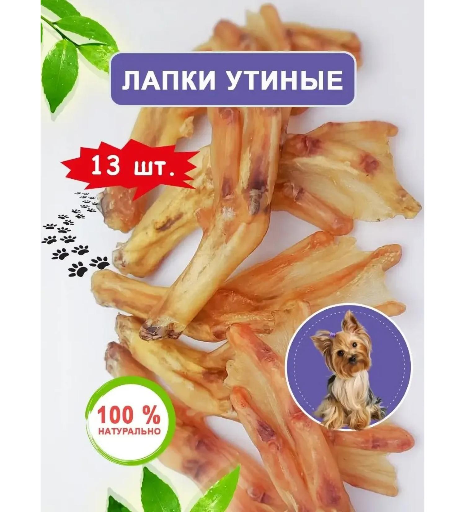 Candidate Master of Sports DoG Clotry of duck paws for dogs delicious 13 pcs - Buy Online on GoSupps.com