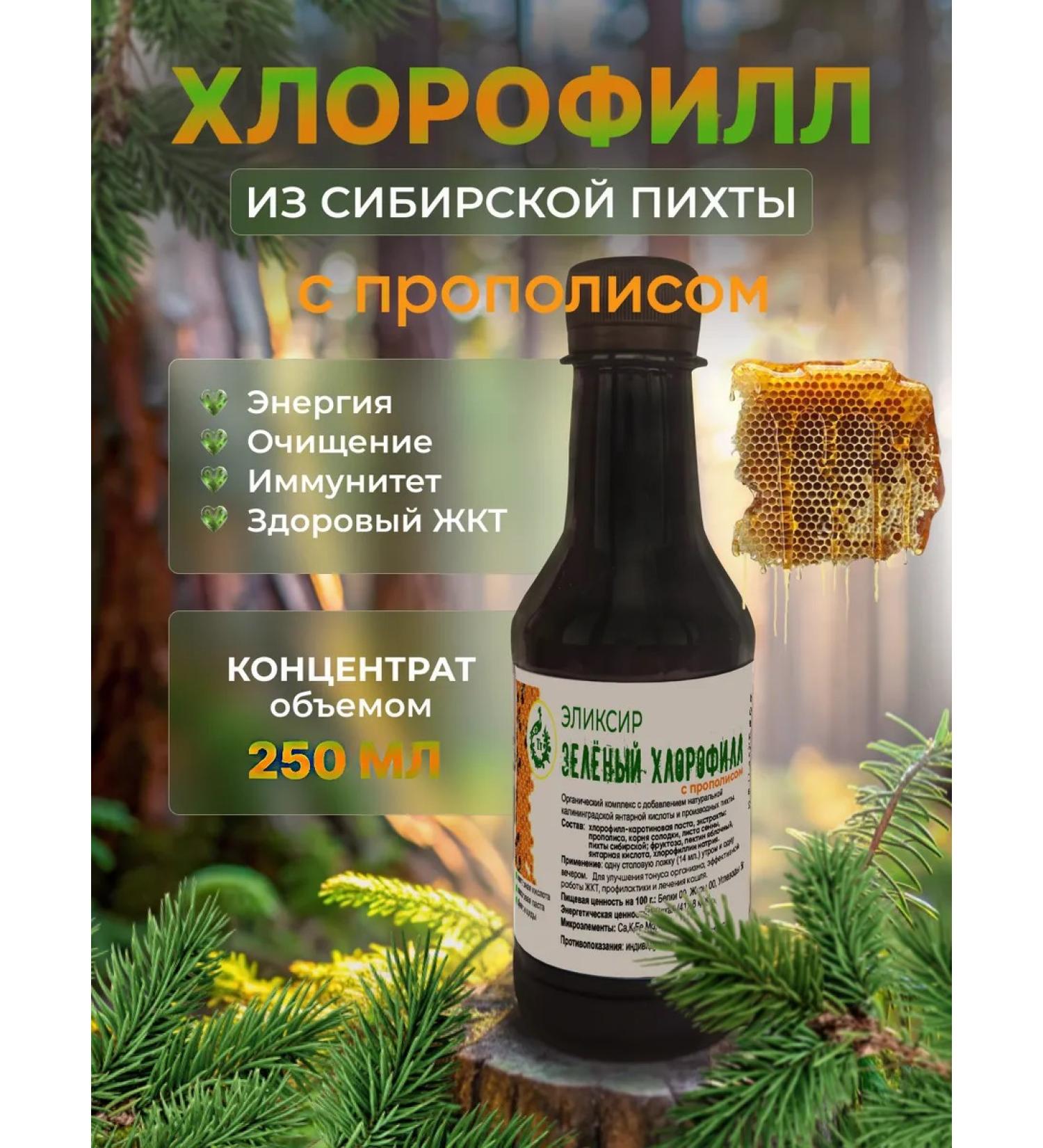 Your Traditions Chlorophyll liquid food for immunity with propolis 250ml - Buy Online on GoSupps.com