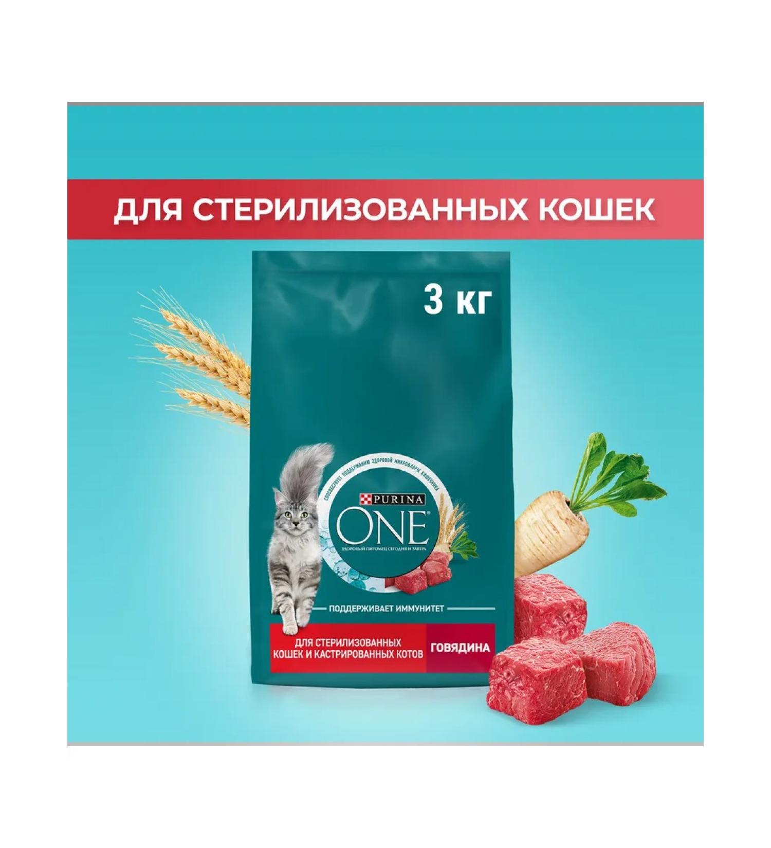 Dry food for cats "Purina One" with beef 3kg - Buy Online on GoSupps.com