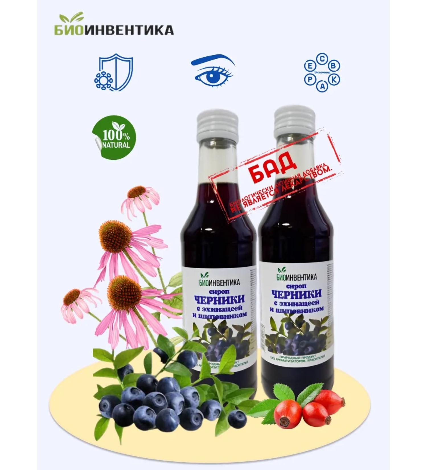 Bioinventica Blueberry syrup with echinacea and rose hips 250 ml 2 boots - Buy Online on GoSupps.com