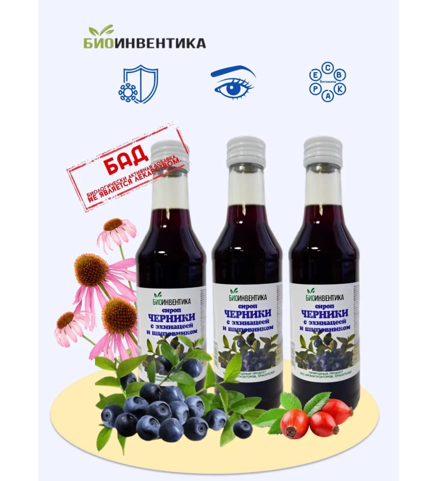 Bioinventica Blueberry syrup with echinacea and rosehip 250 ml 3 boots - Buy Online on GoSupps.com