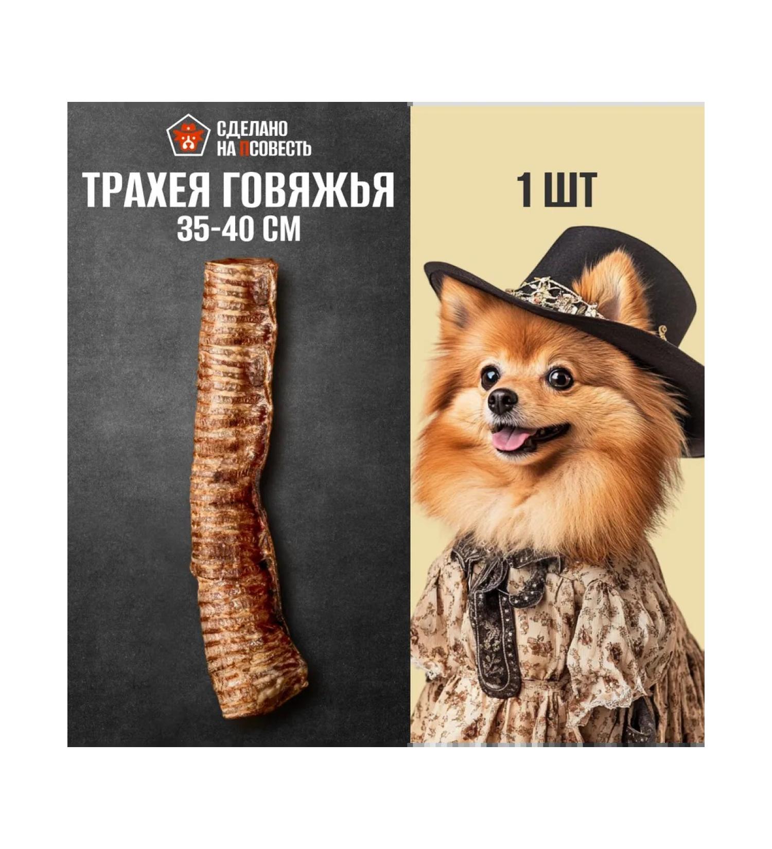 Made with conscience TEARY TOSHY ALL 35-40 cm 1 piece - Buy Online on GoSupps.com