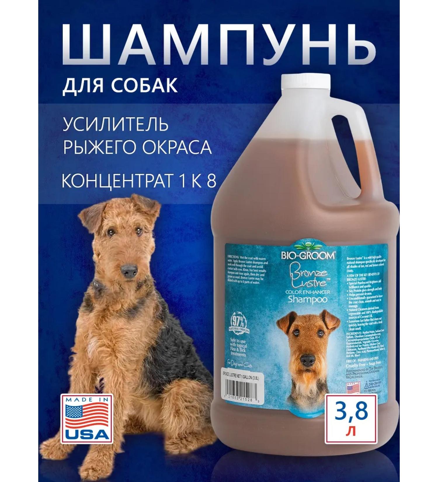 BioGroom Shampoo for red and brown color concentrate 1 8 - Buy Online on GoSupps.com