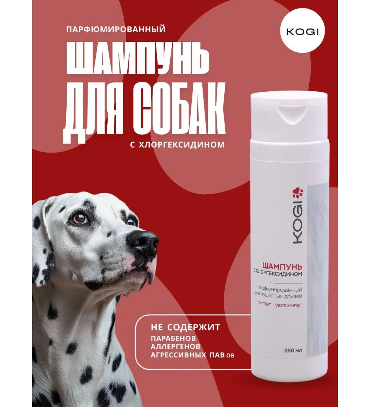 KOGI Clorhexidine dogs with perfumed dogs - Buy Online on GoSupps.com