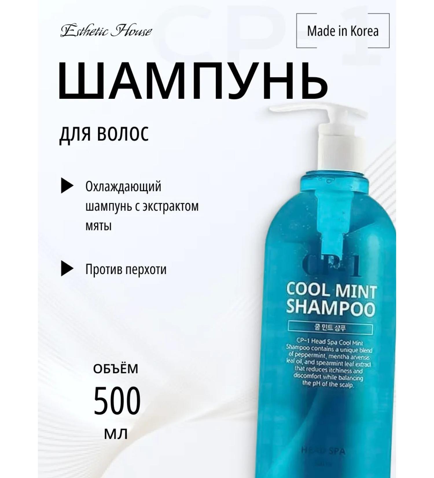 Aesthetic House Hair shampoo cooling Head Spa Cool Mint Shampoo - Buy Online on GoSupps.com