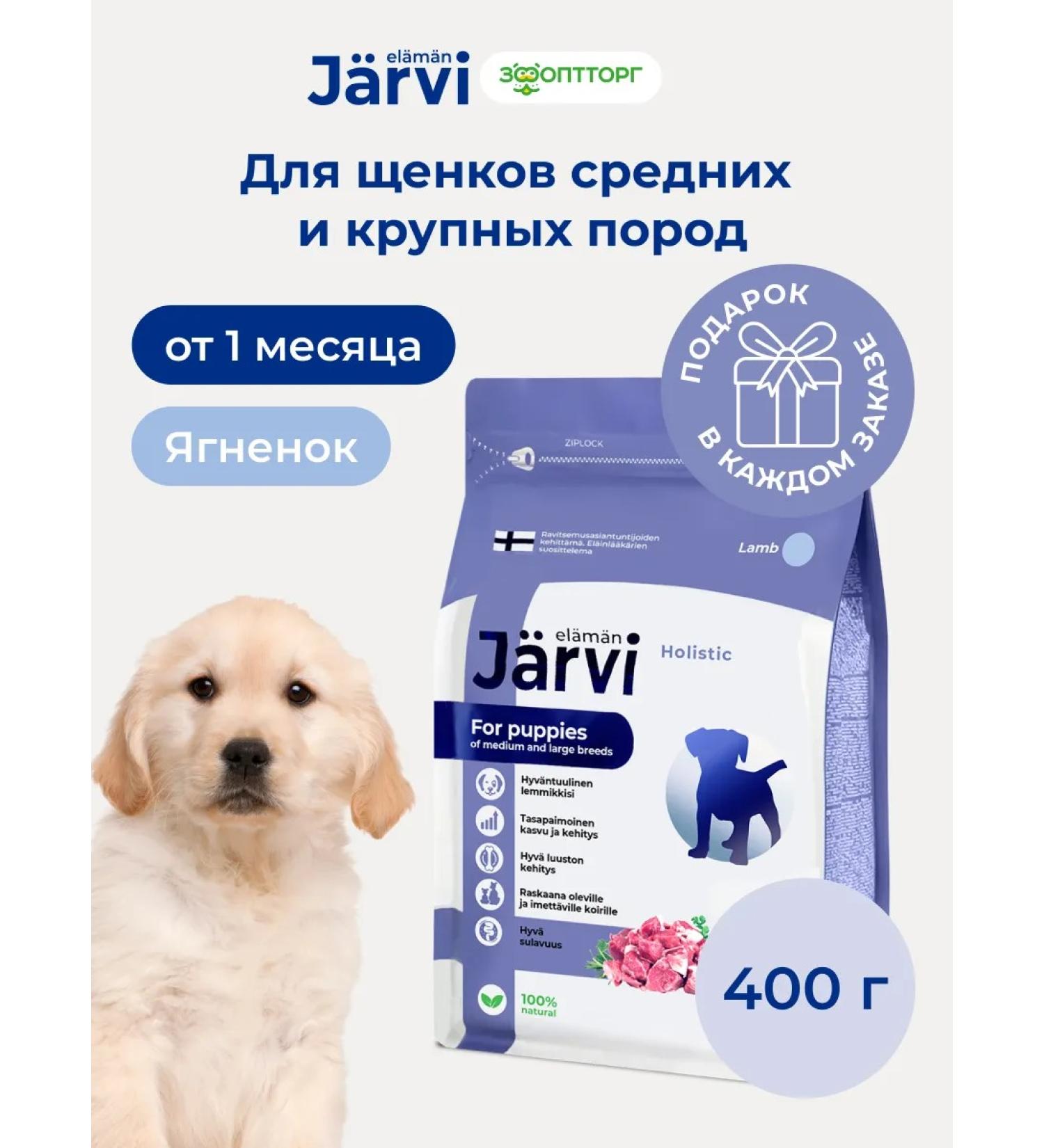 Jarvi elaman Dry food for puppies of medium and large breeds lambs 400g - Buy Online on GoSupps.com