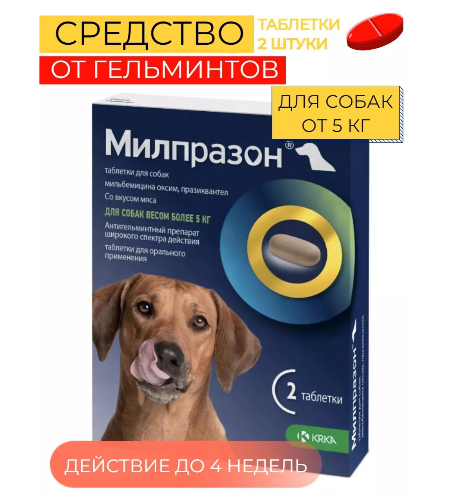 KRKA Milprazone tablets for puppies and dogs Antigelmintic - Buy Online on GoSupps.com