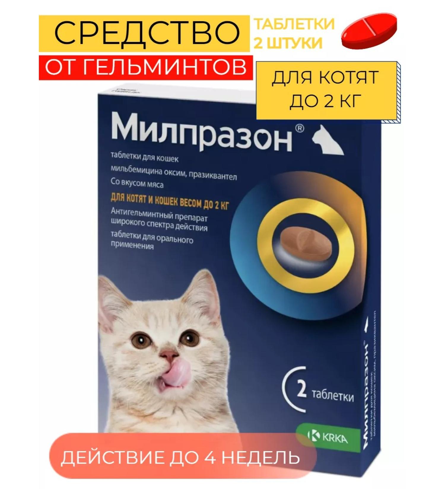KRKA Milprazon Antigelmintic for cats and kittens - Buy Online on GoSupps.com
