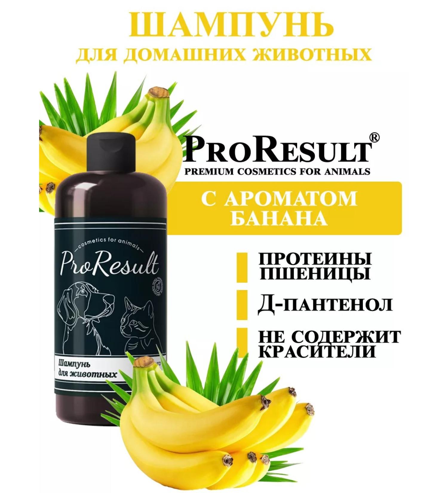 ProResult Shampoo for dogs and cats with a banana aroma