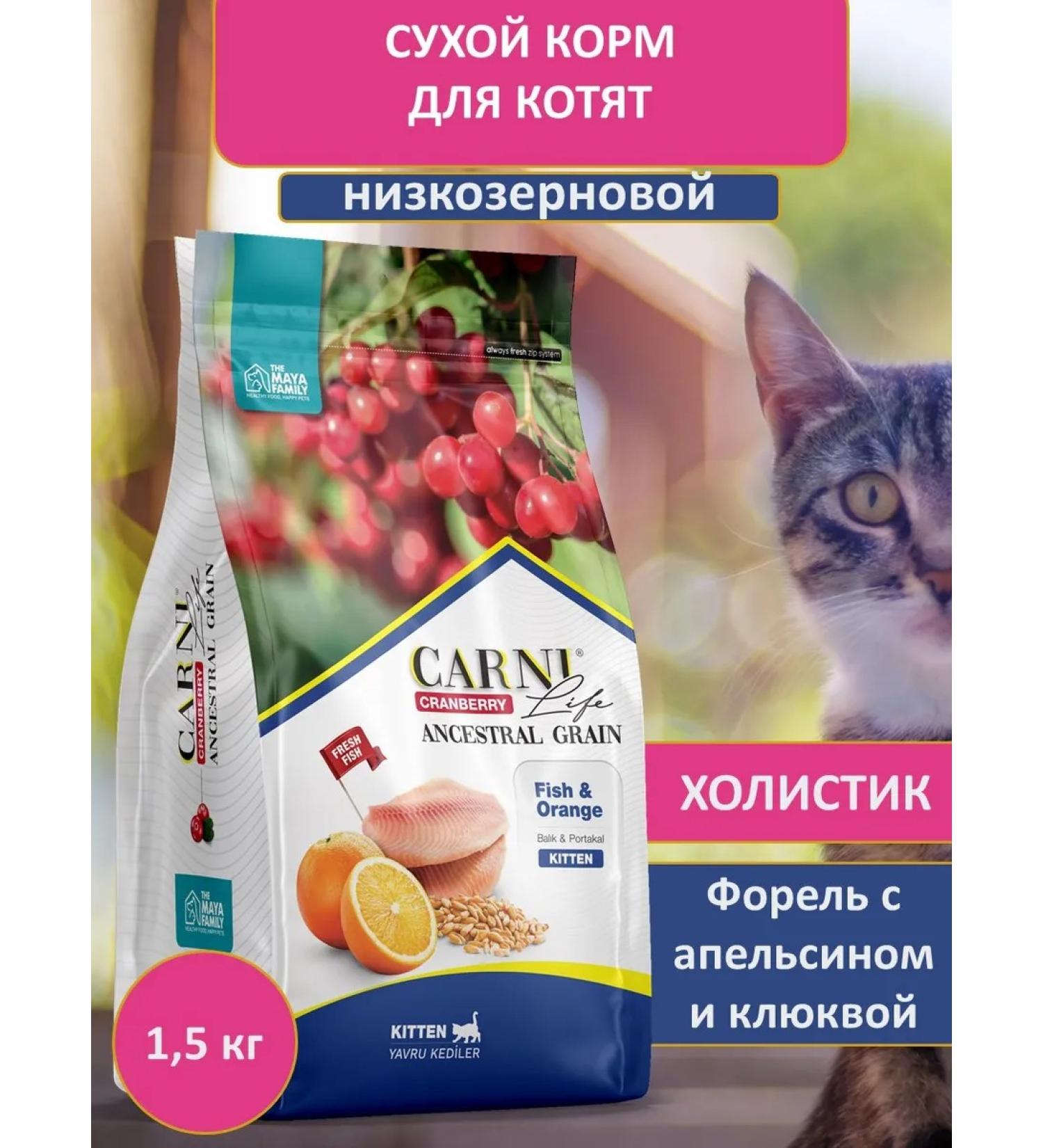 CARNI LIFE Dry food for kittens trout - Buy Online on GoSupps.com