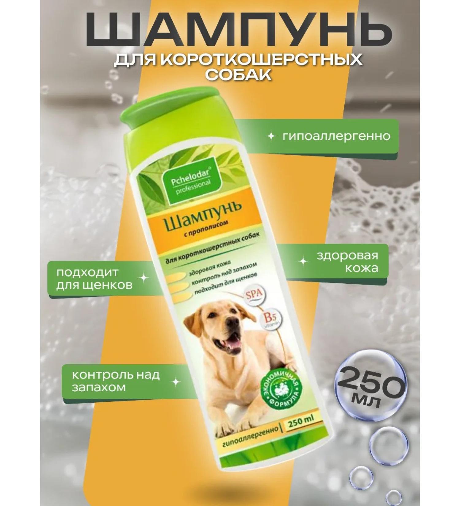 Beekeeper Shampoo for short -haired dogs Propolis 250ml